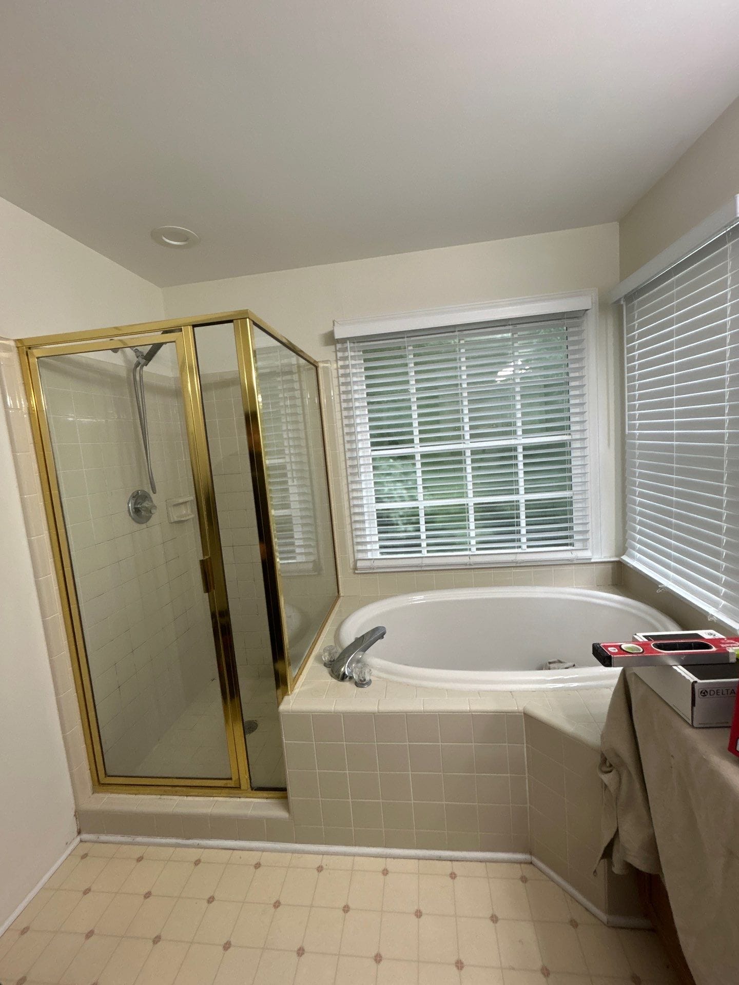 Before Bath Remodel