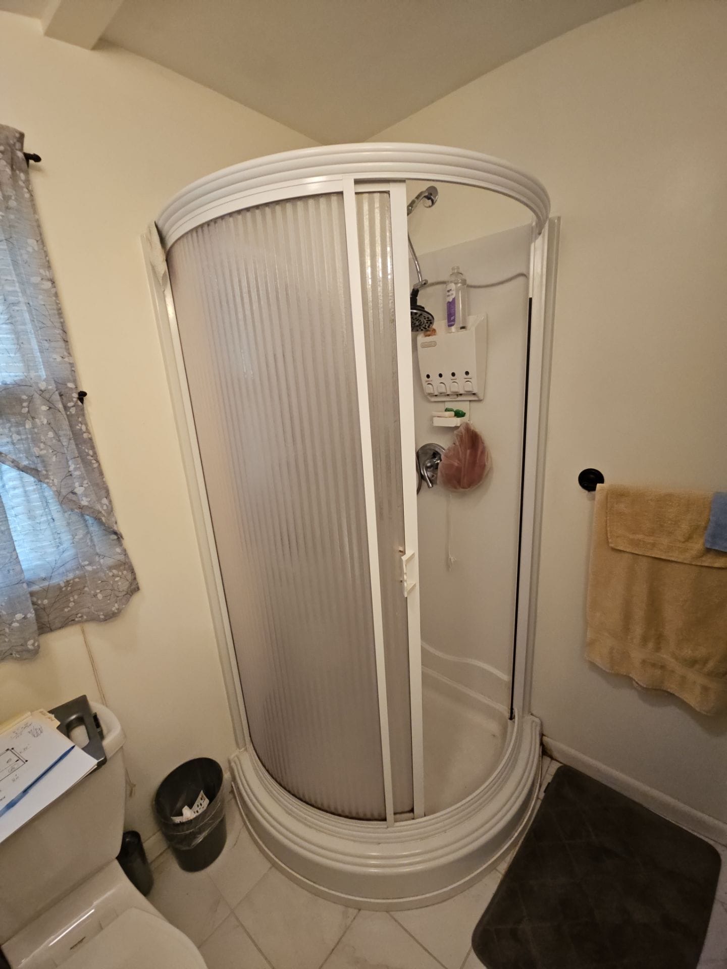 Before Bath Remodel