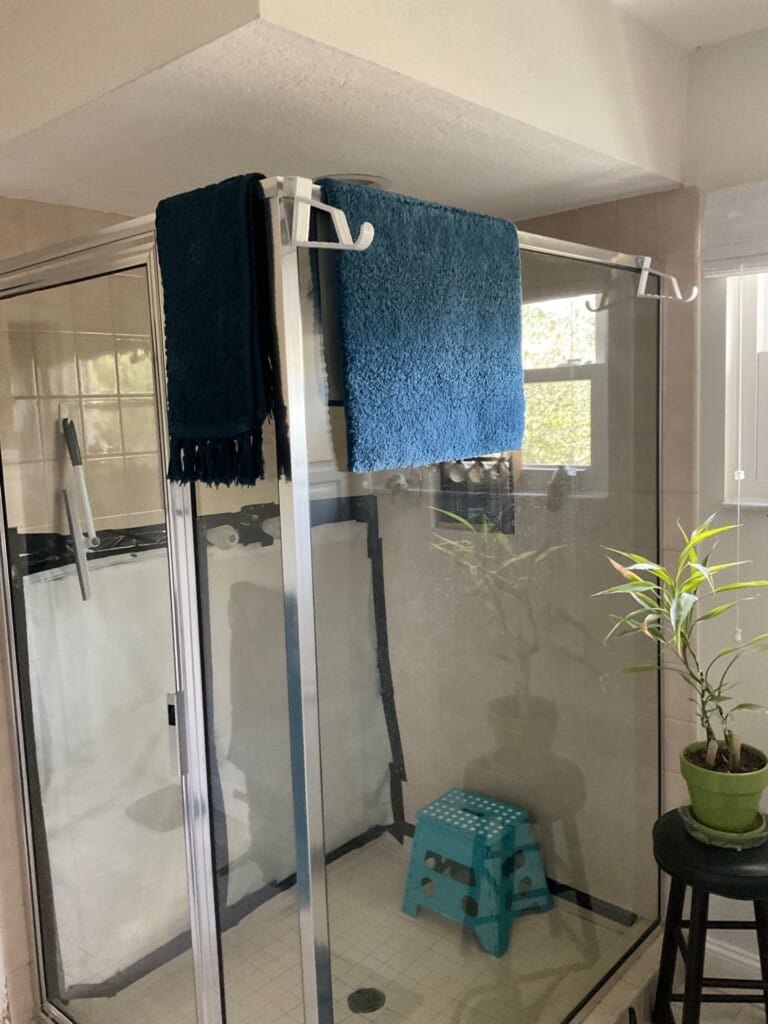 Before - Bathroom Remodel, W Heron Ln, Tampa, FL 33629