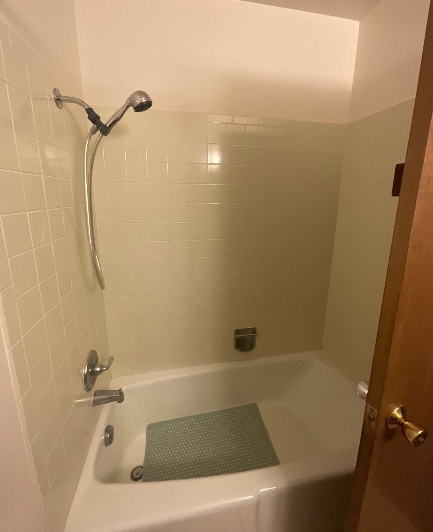 Before Bath Remodel