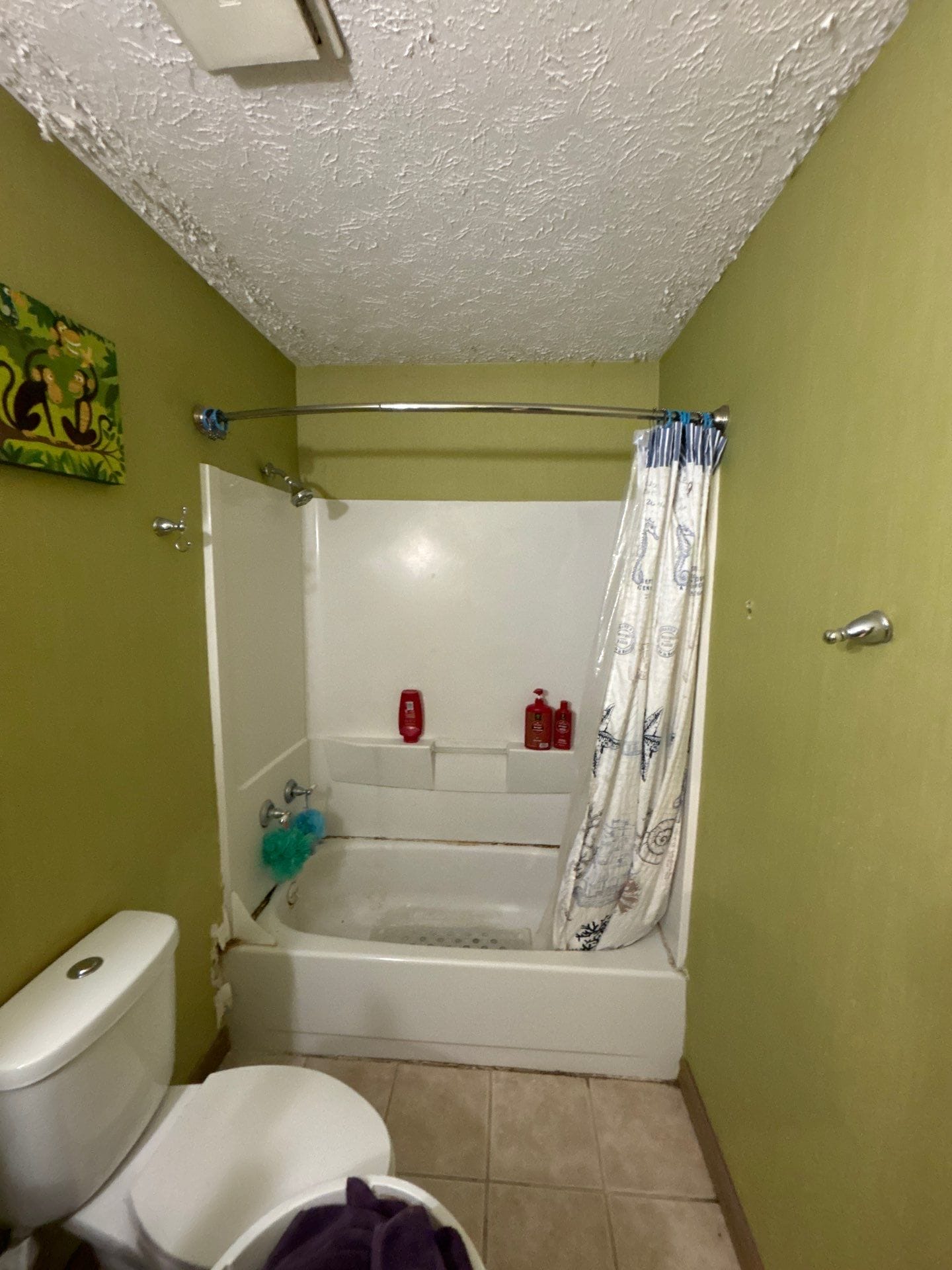 Before Bath Remodel