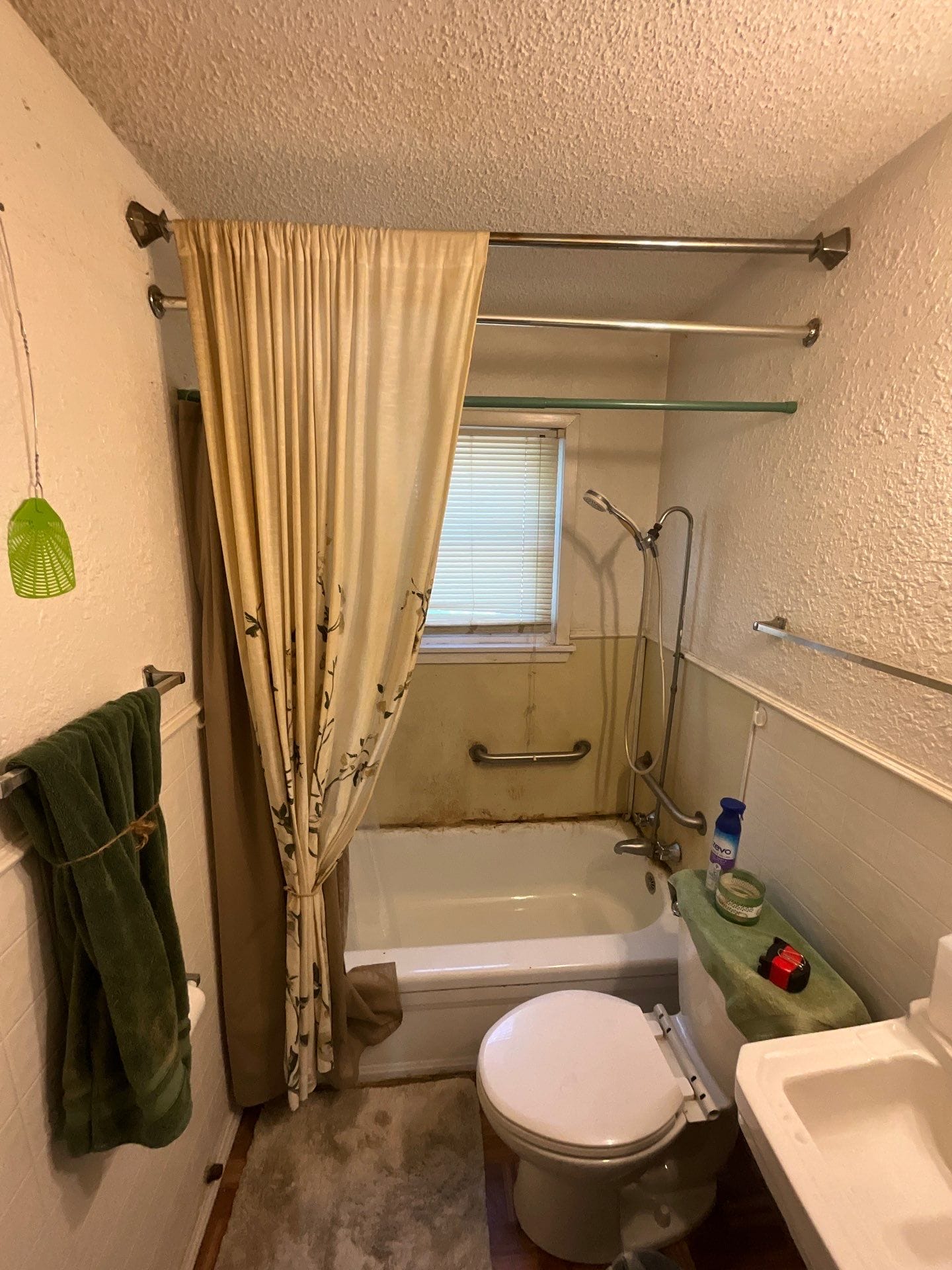 Before Bath Remodel
