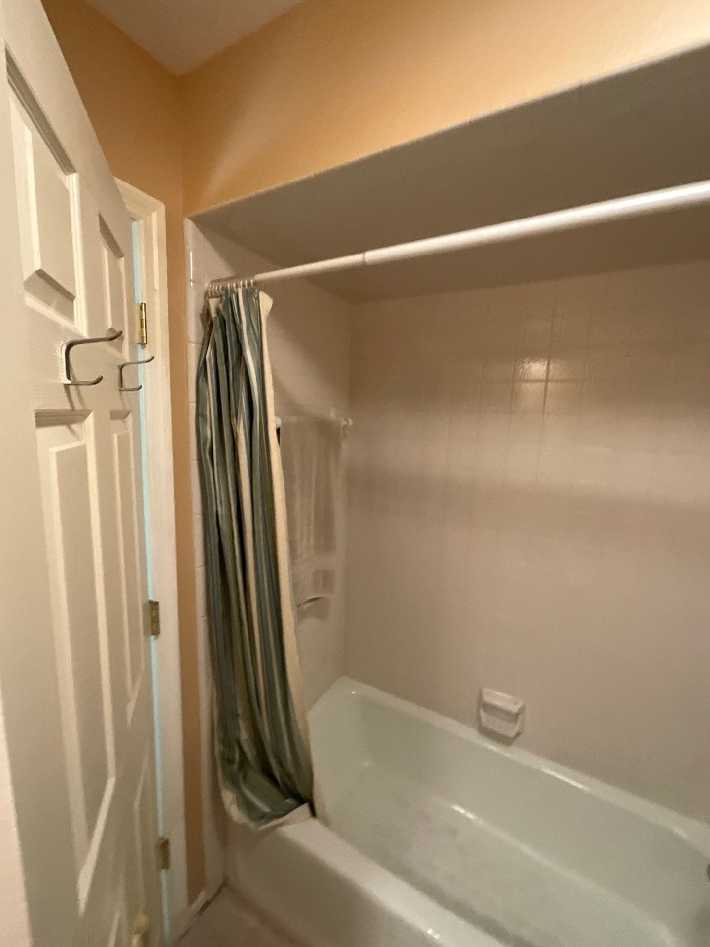 Before Bath Remodel
