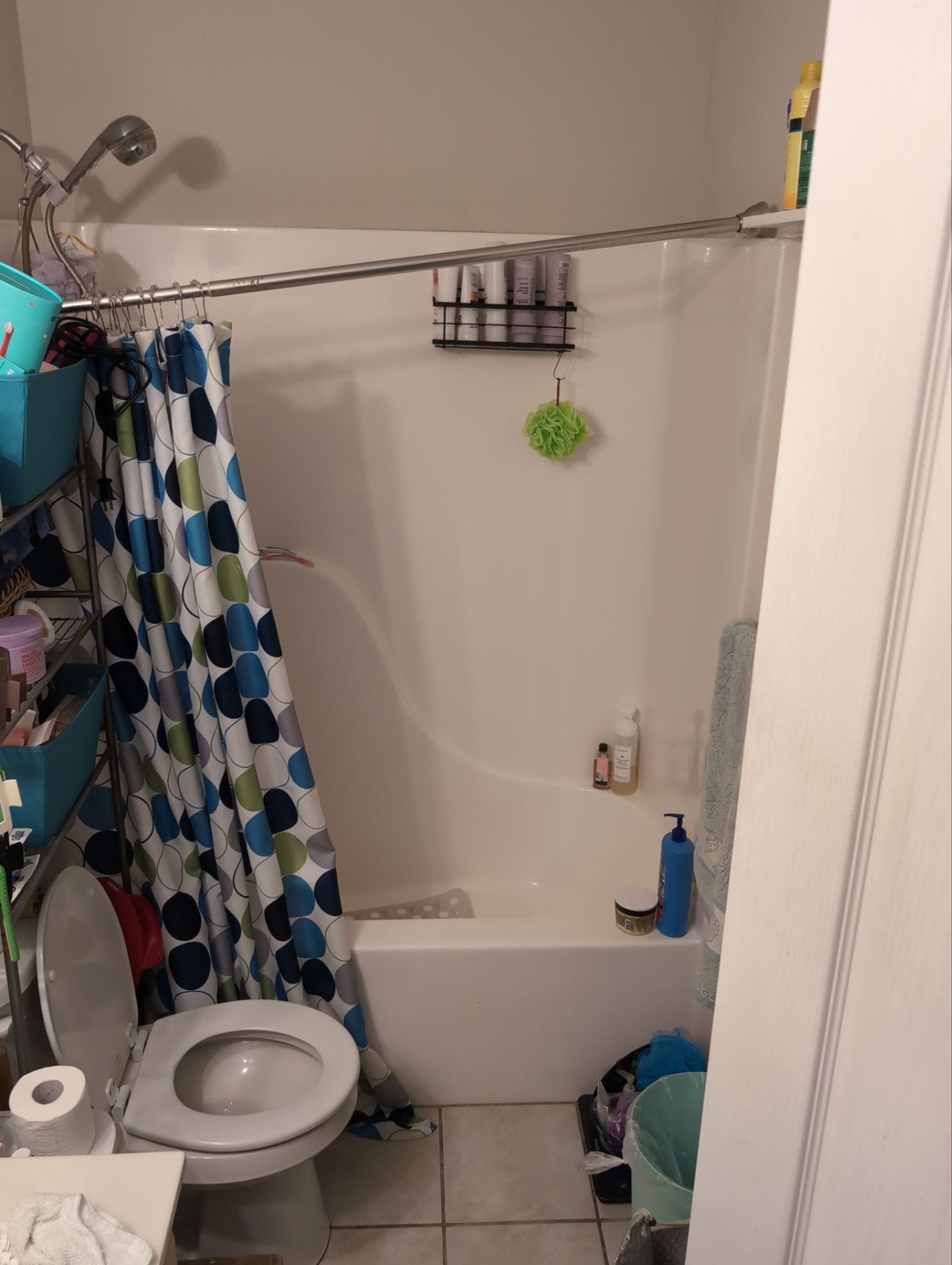 Before Bath Remodel
