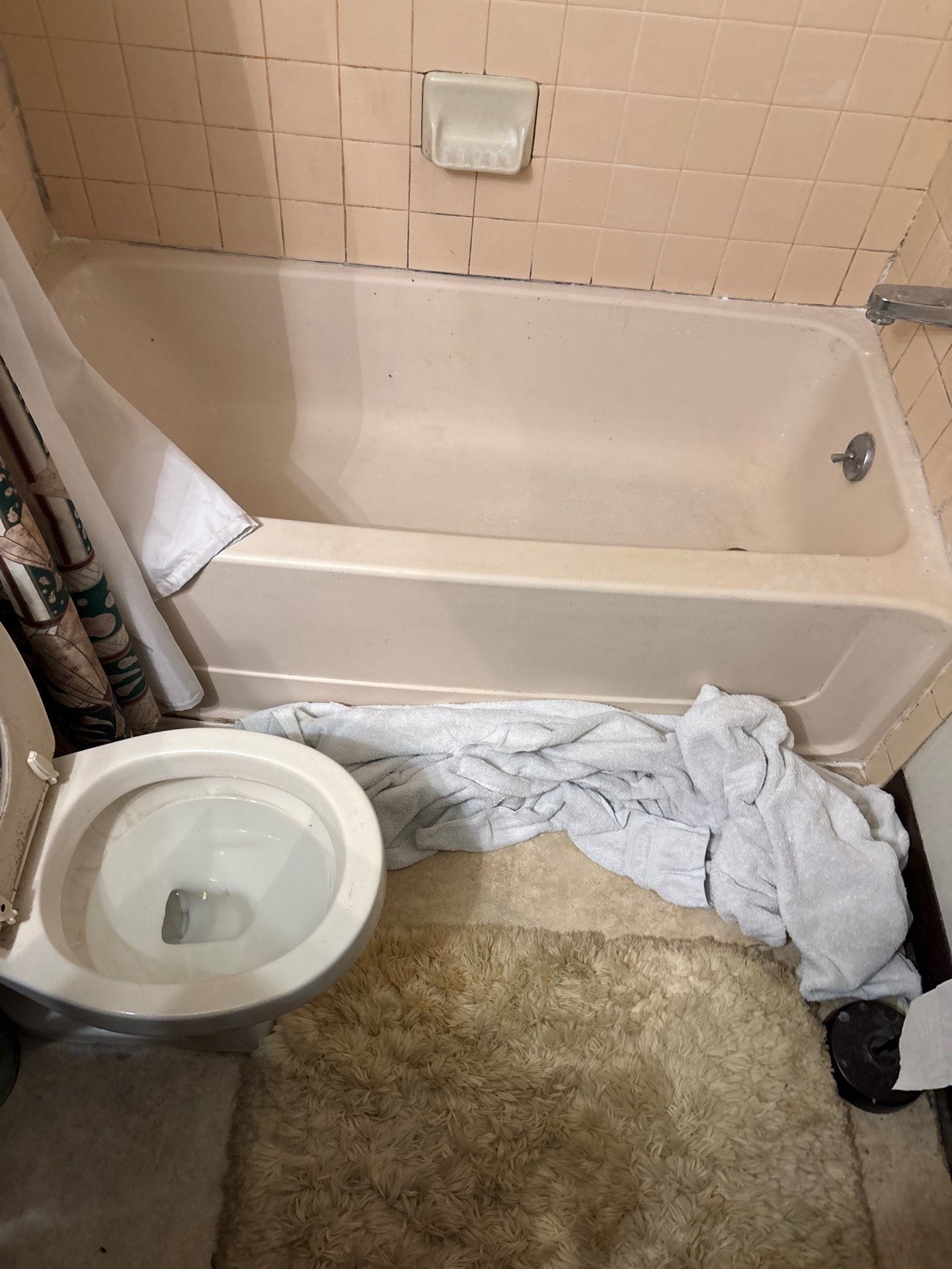 Before Bath Remodel