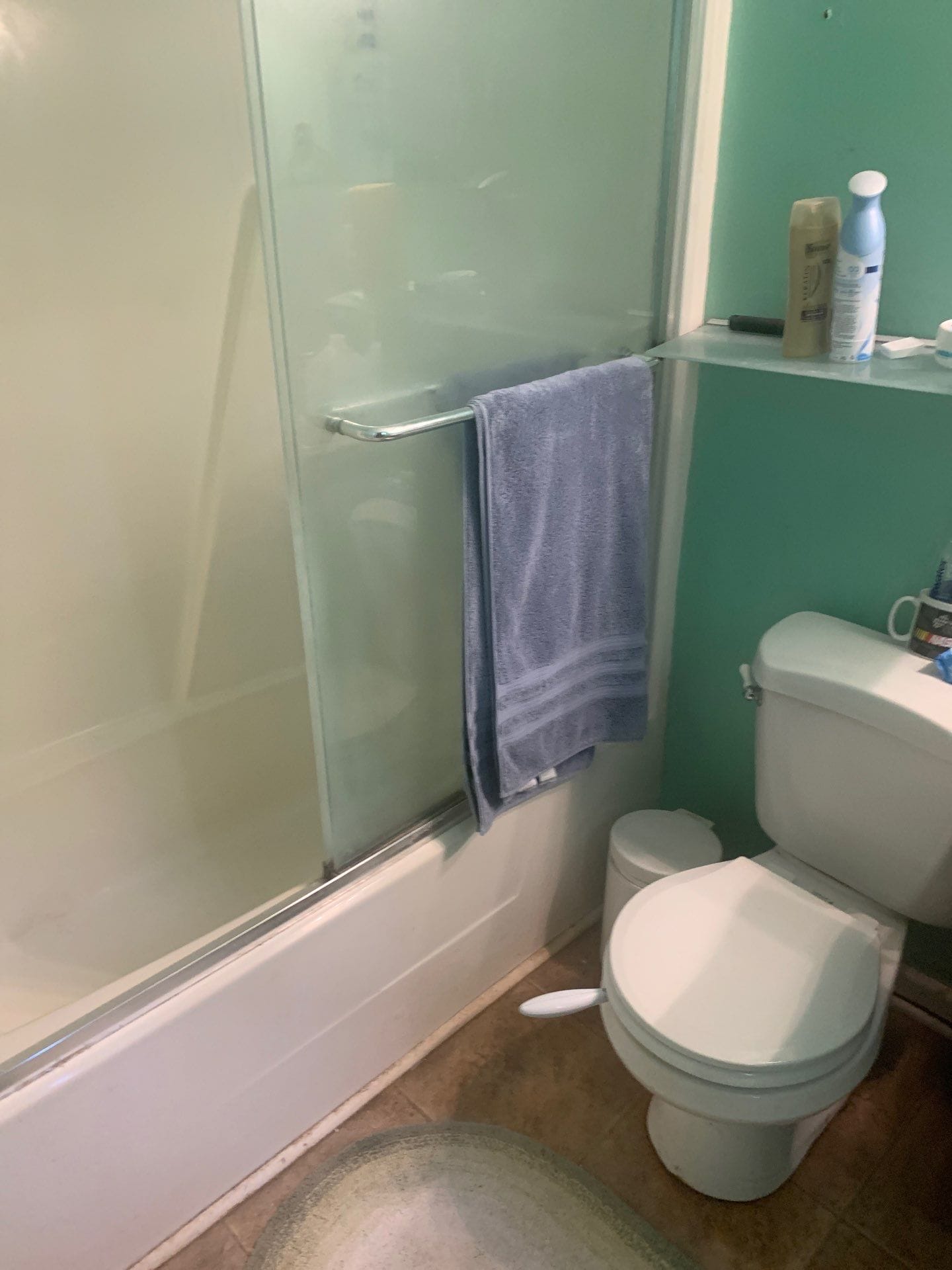 Before Bath Remodel