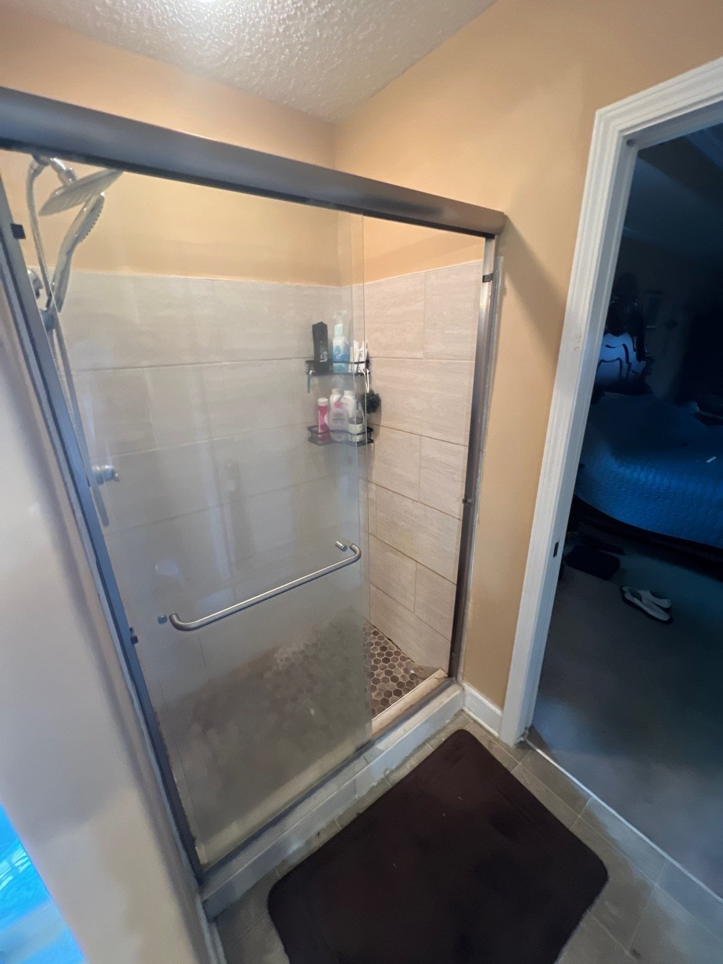 Before Bath Remodel