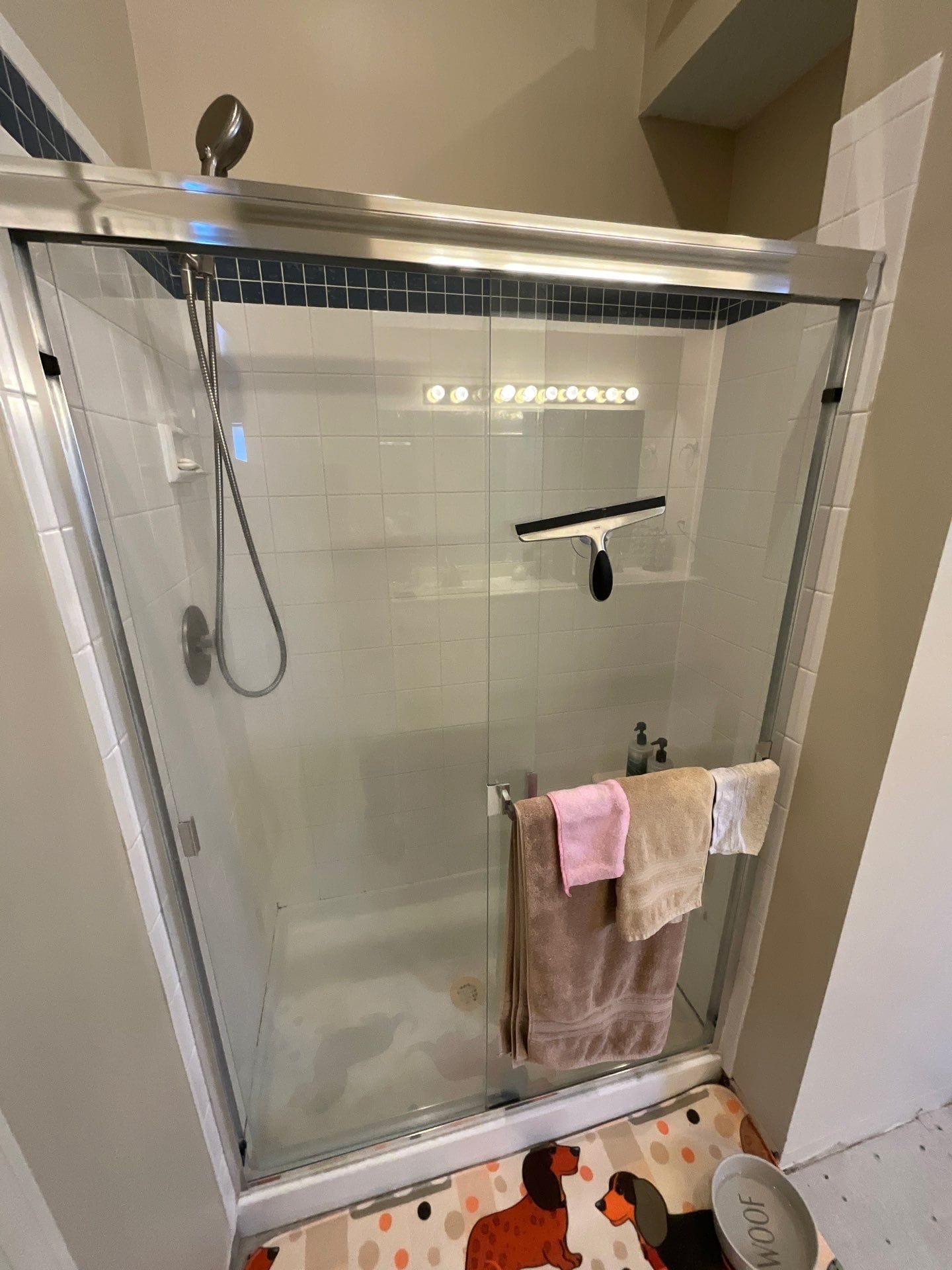 Before Bath Remodel