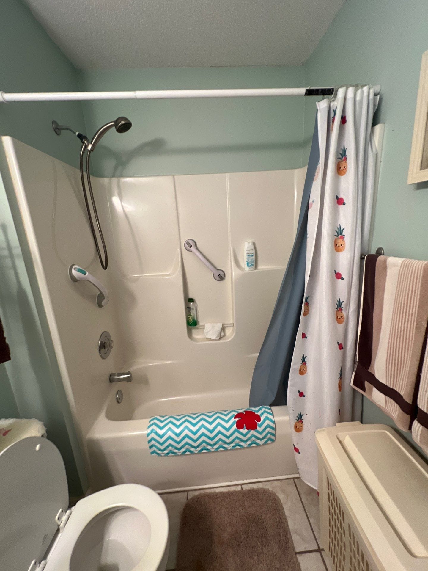 Before Bath Remodel