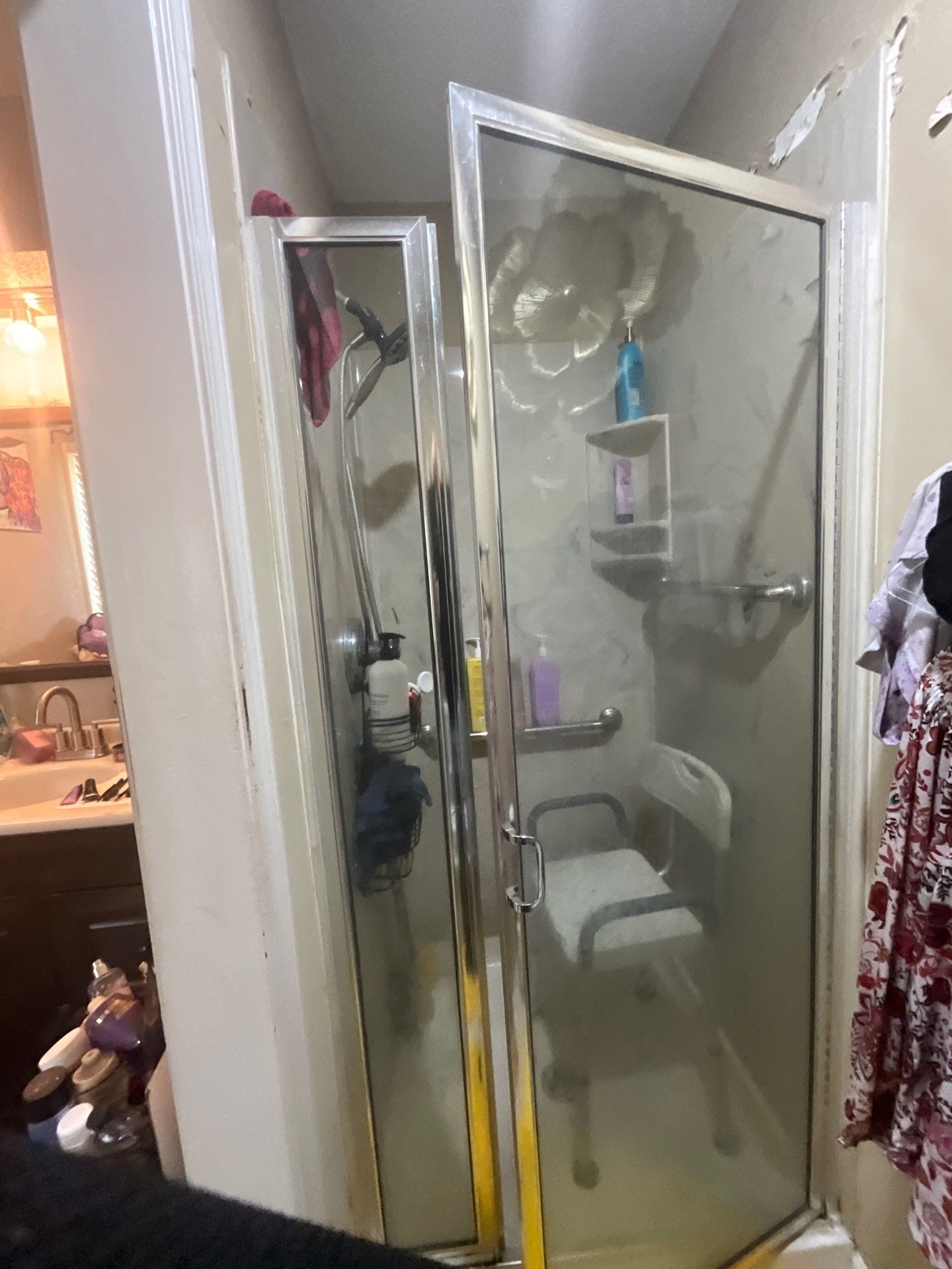 Before Bath Remodel