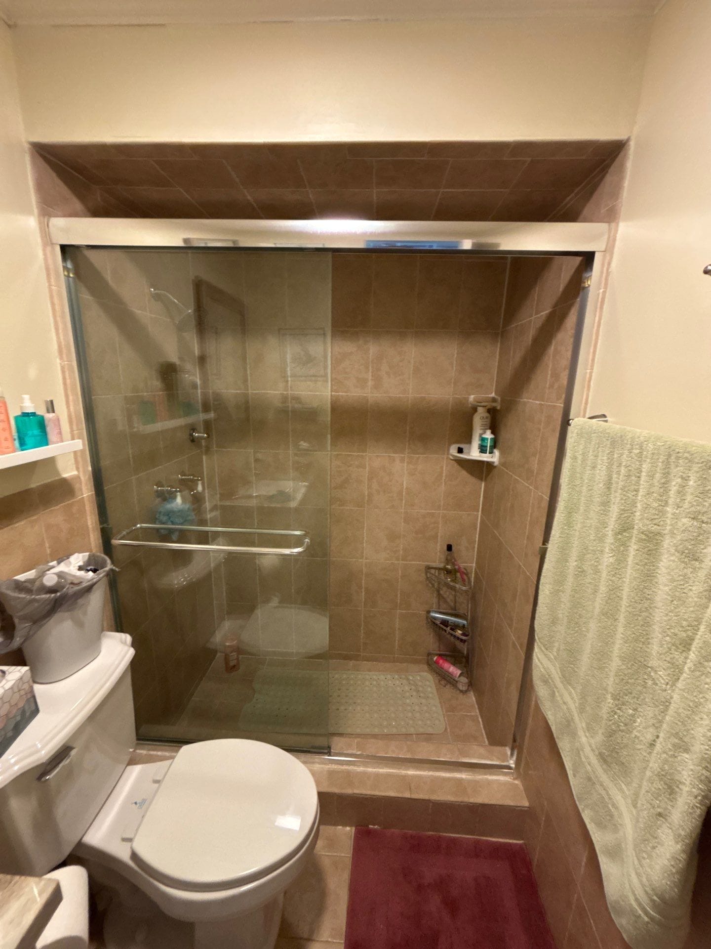Before Bath Remodel