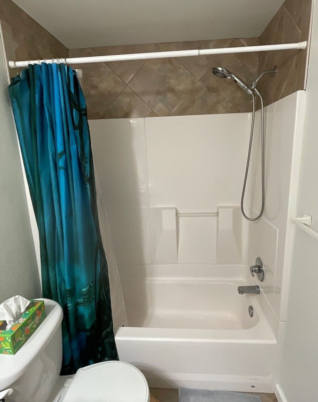 Before Bath Remodel