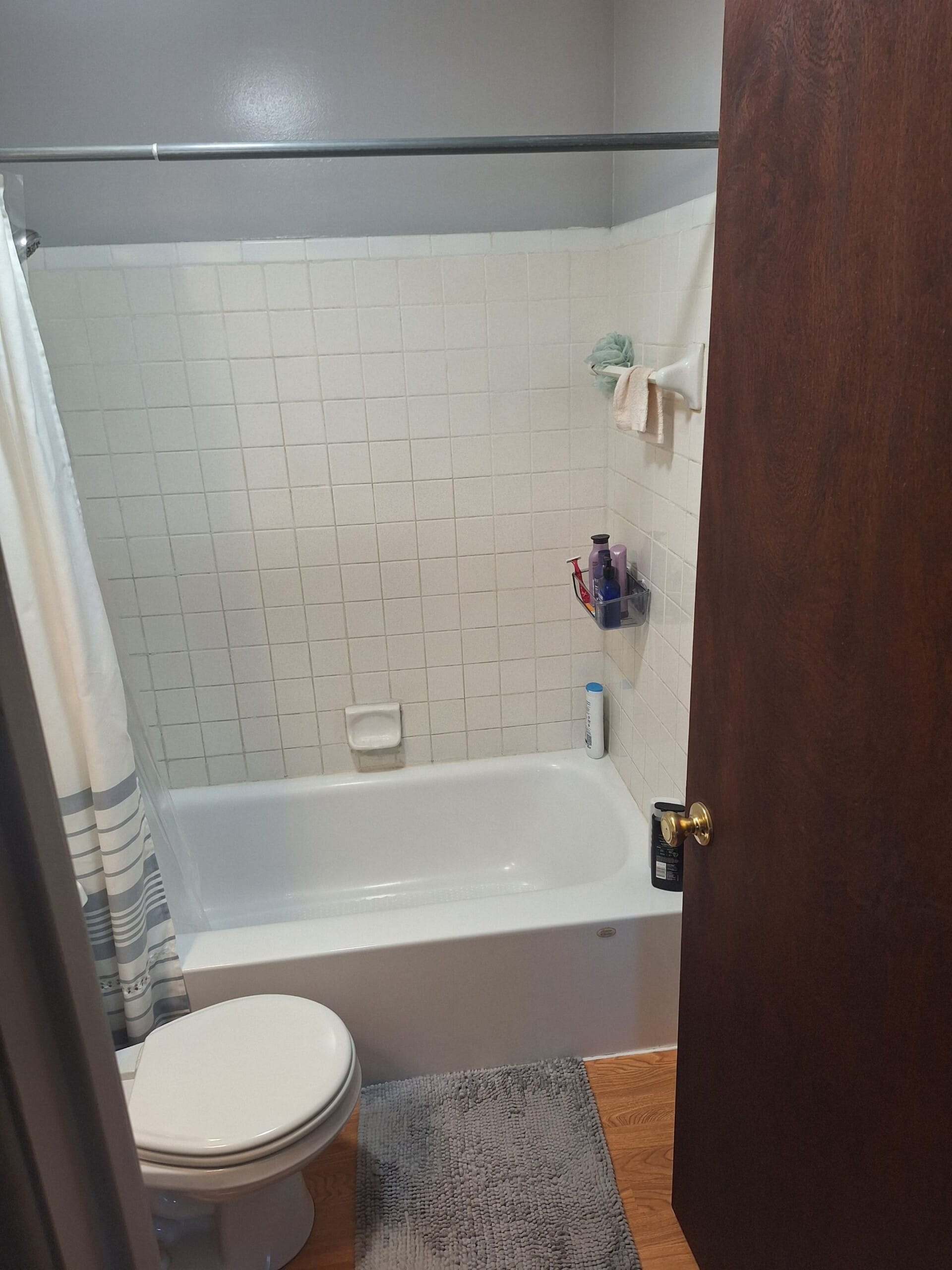 Before Bath Remodel
