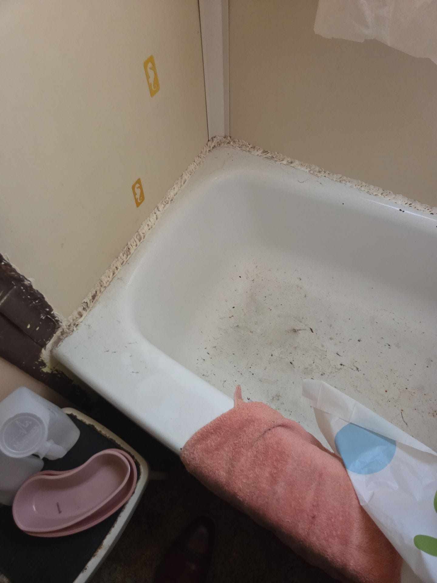 Before Bath Remodel