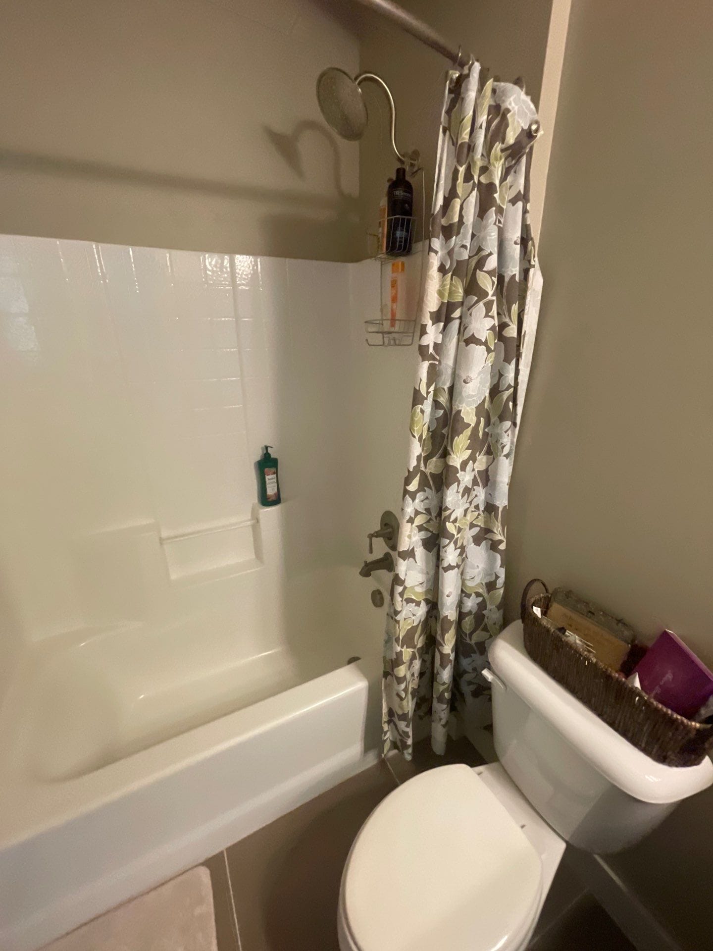 Before Bath Remodel