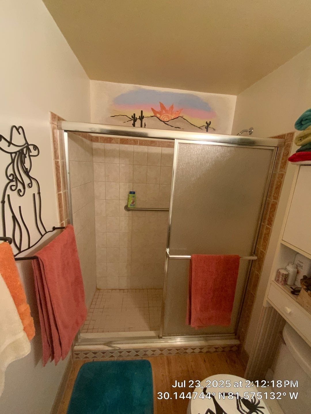 Before Bath Remodel