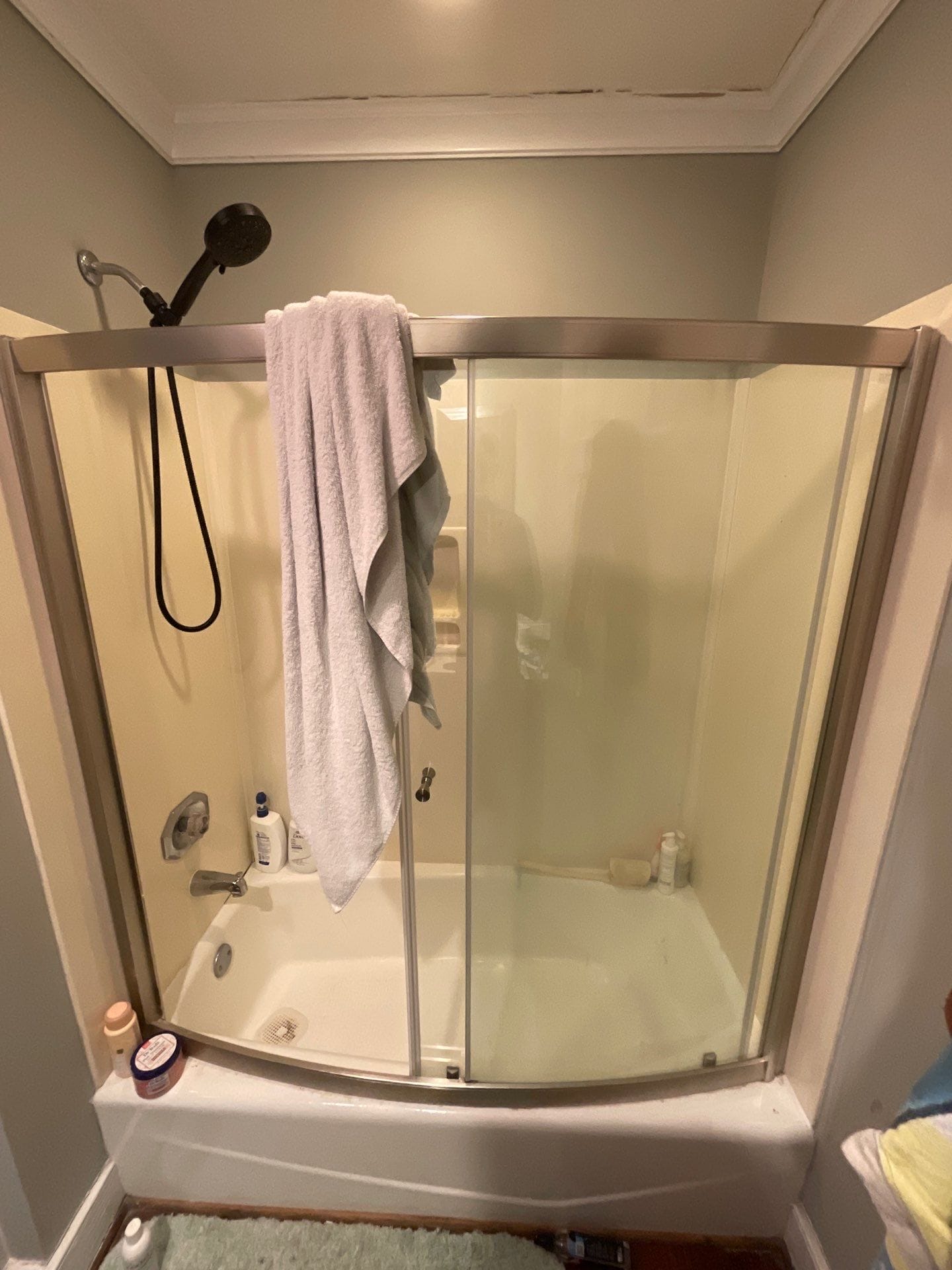 Before Bath Remodel