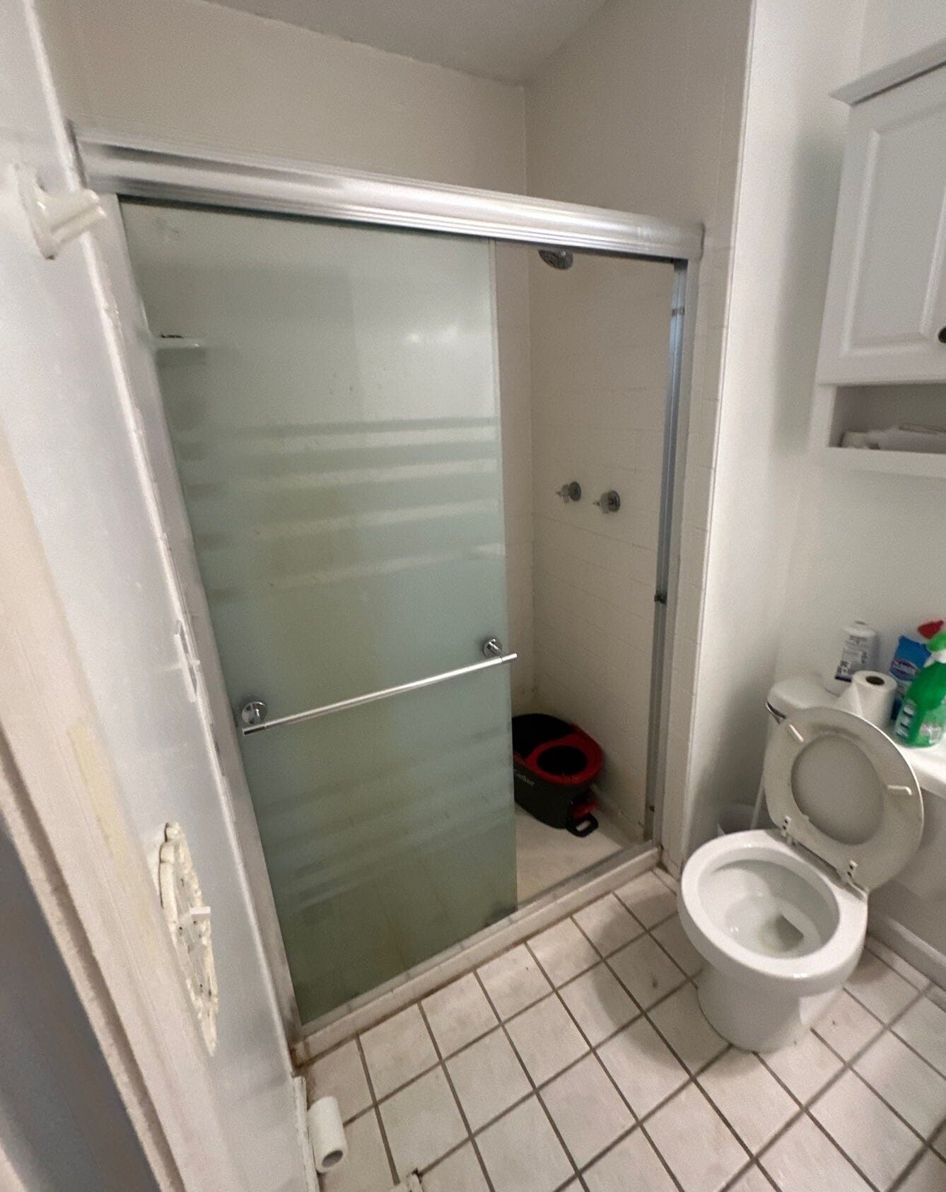 Before Bath Remodel