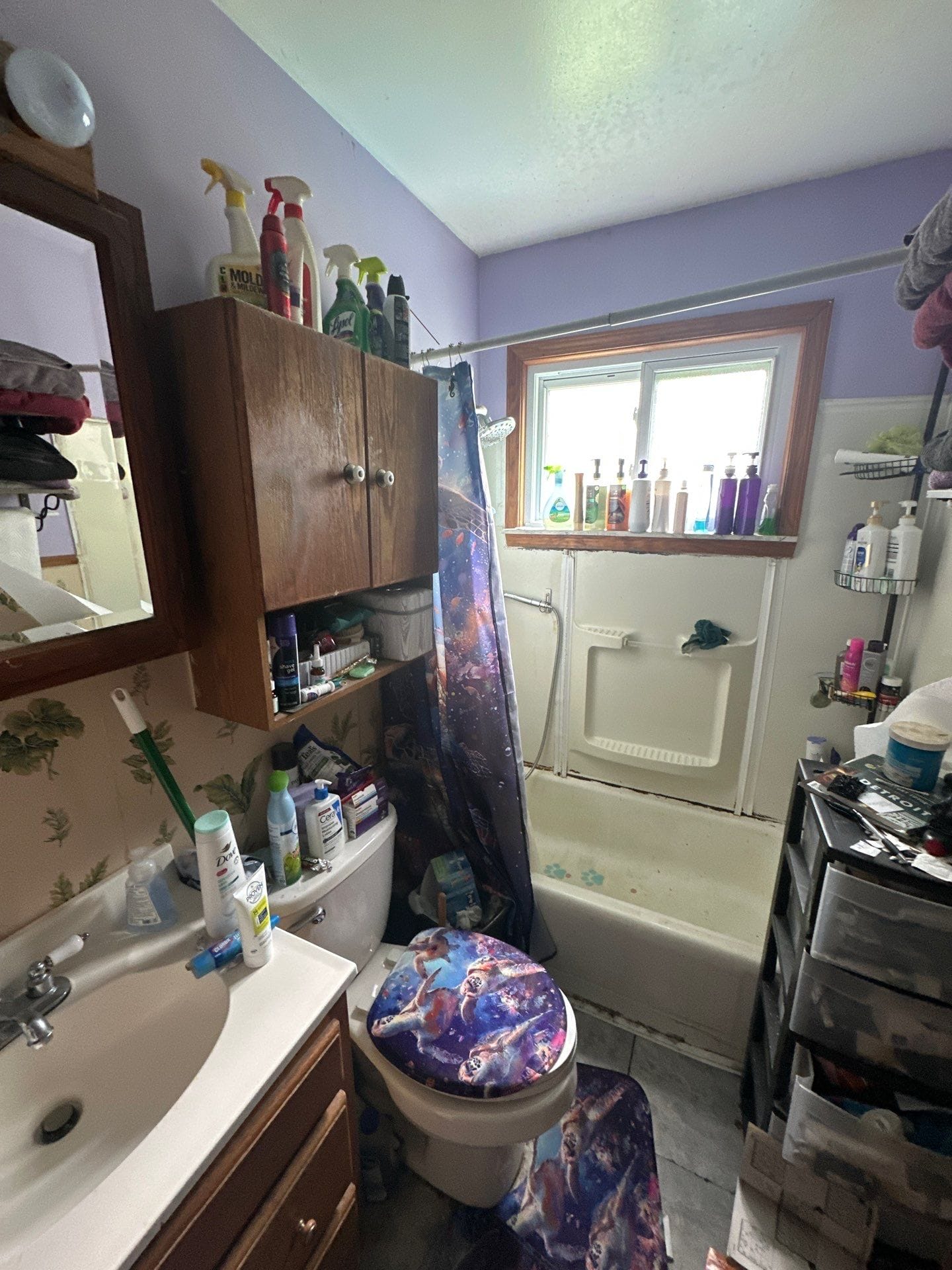 Before Bath Remodel