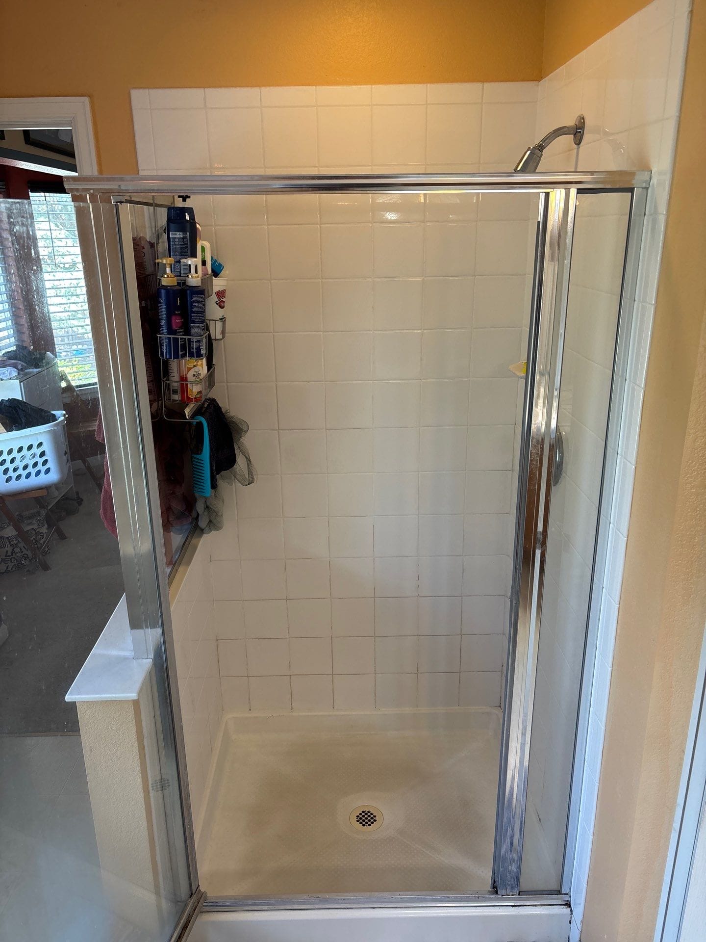 Before Bath Remodel