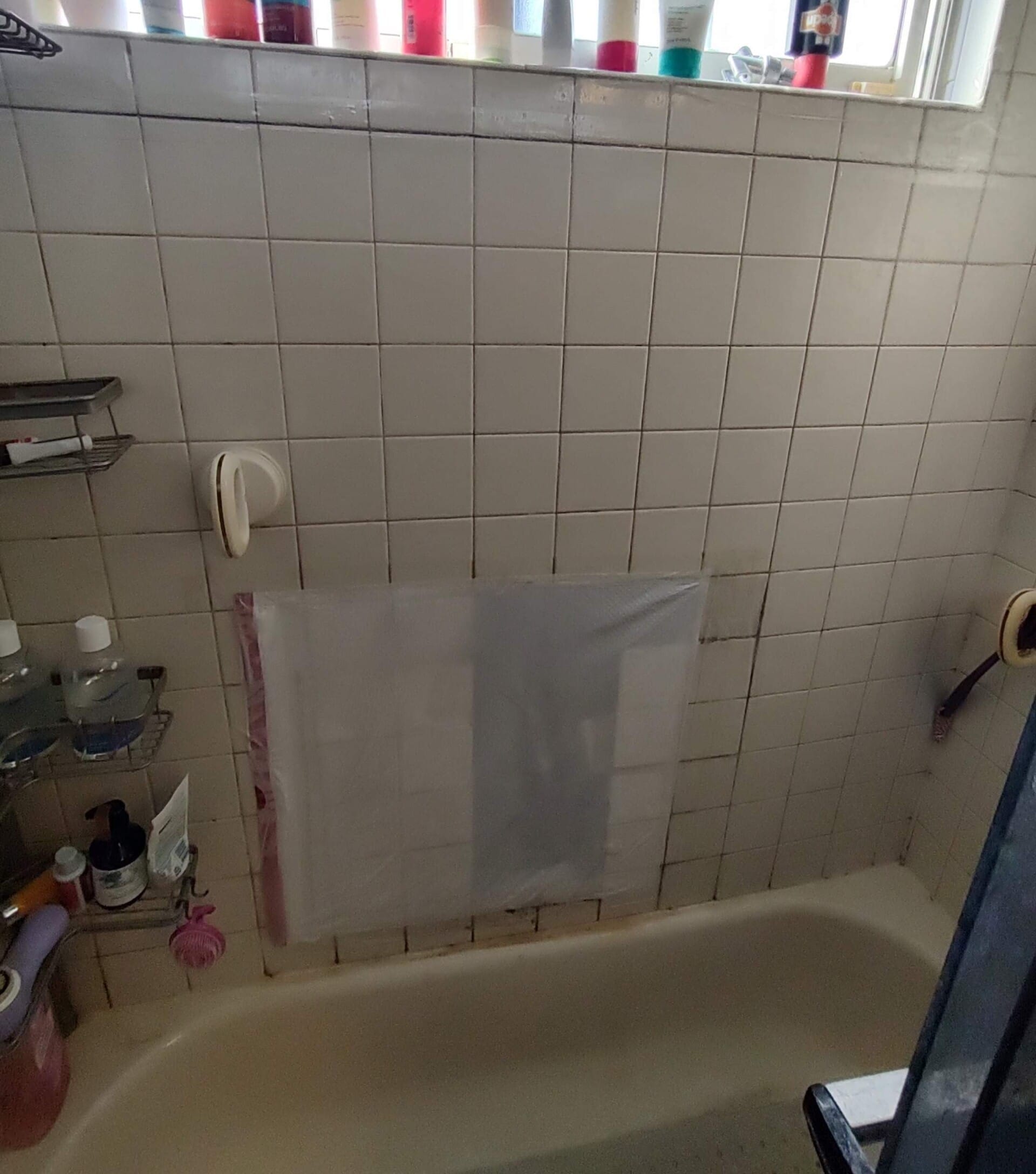 Before Bath Remodel
