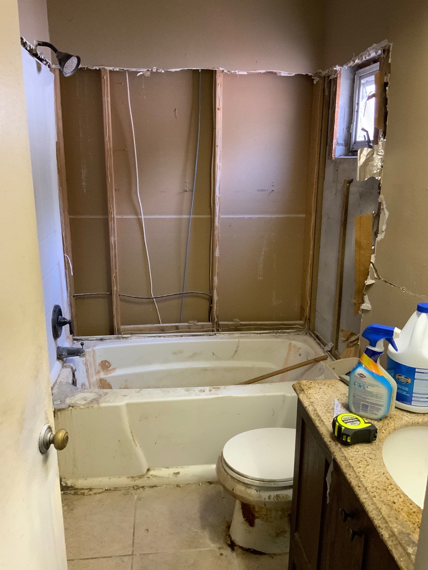 Before Bath Remodel