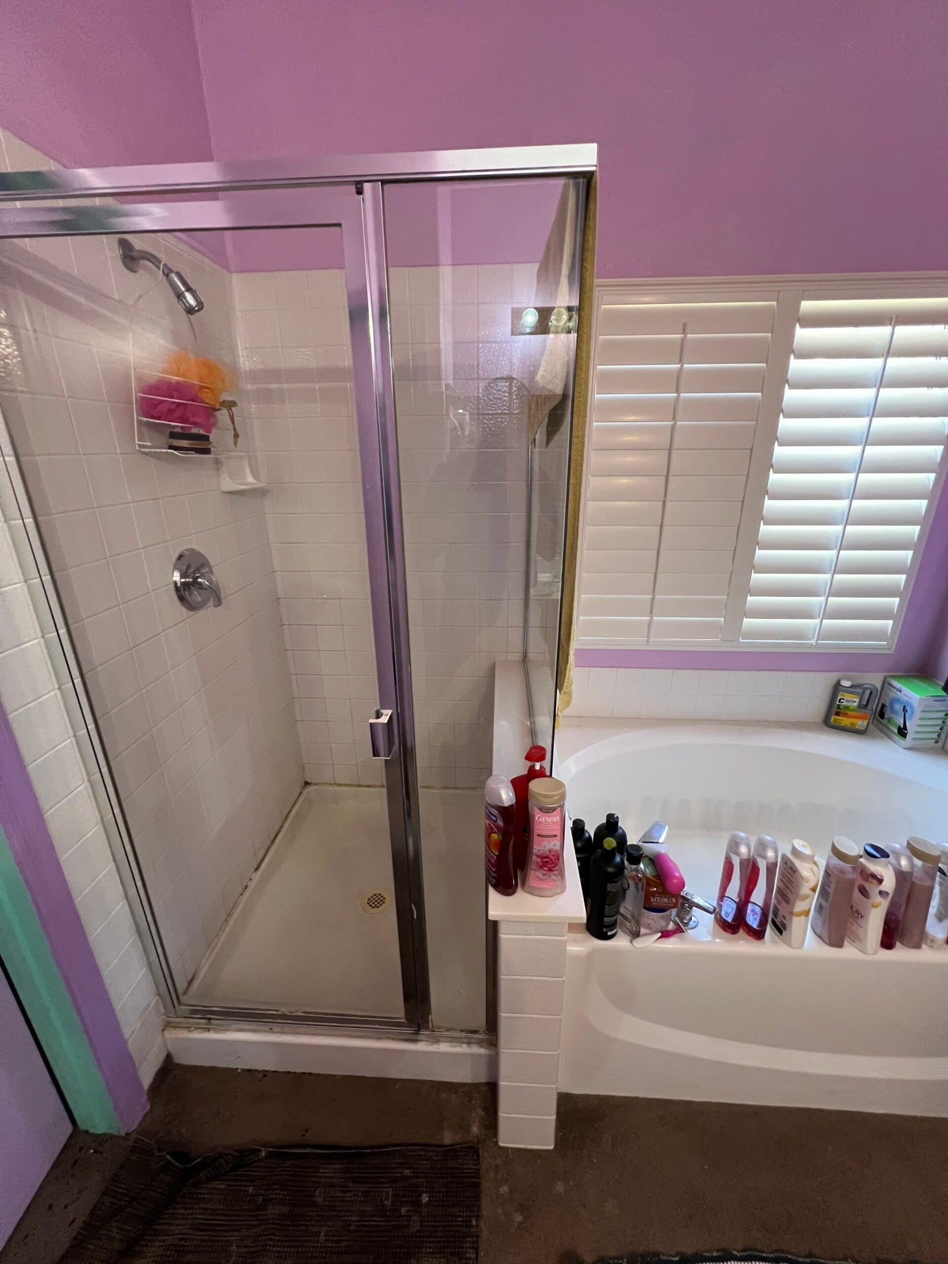 Before Bath Remodel