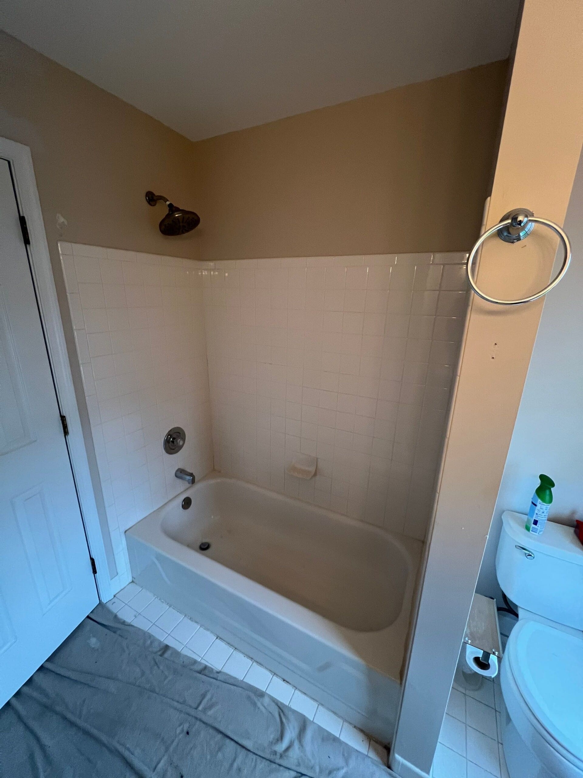 Before Bath Remodel