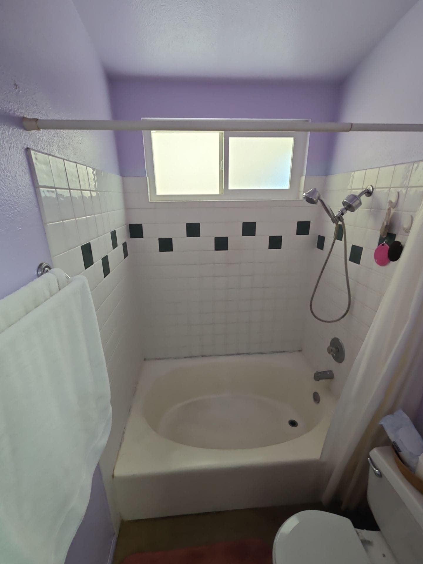 Before Bath Remodel
