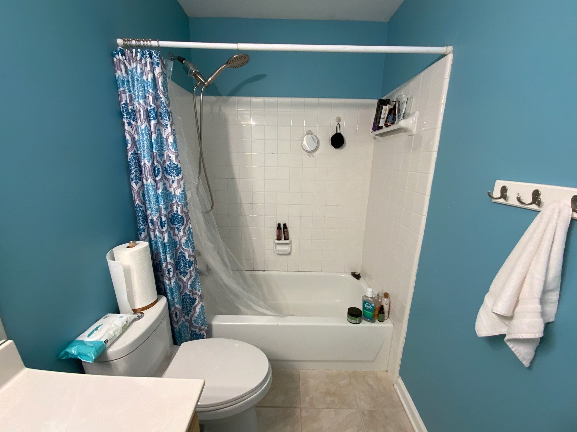 Before Bath Remodel