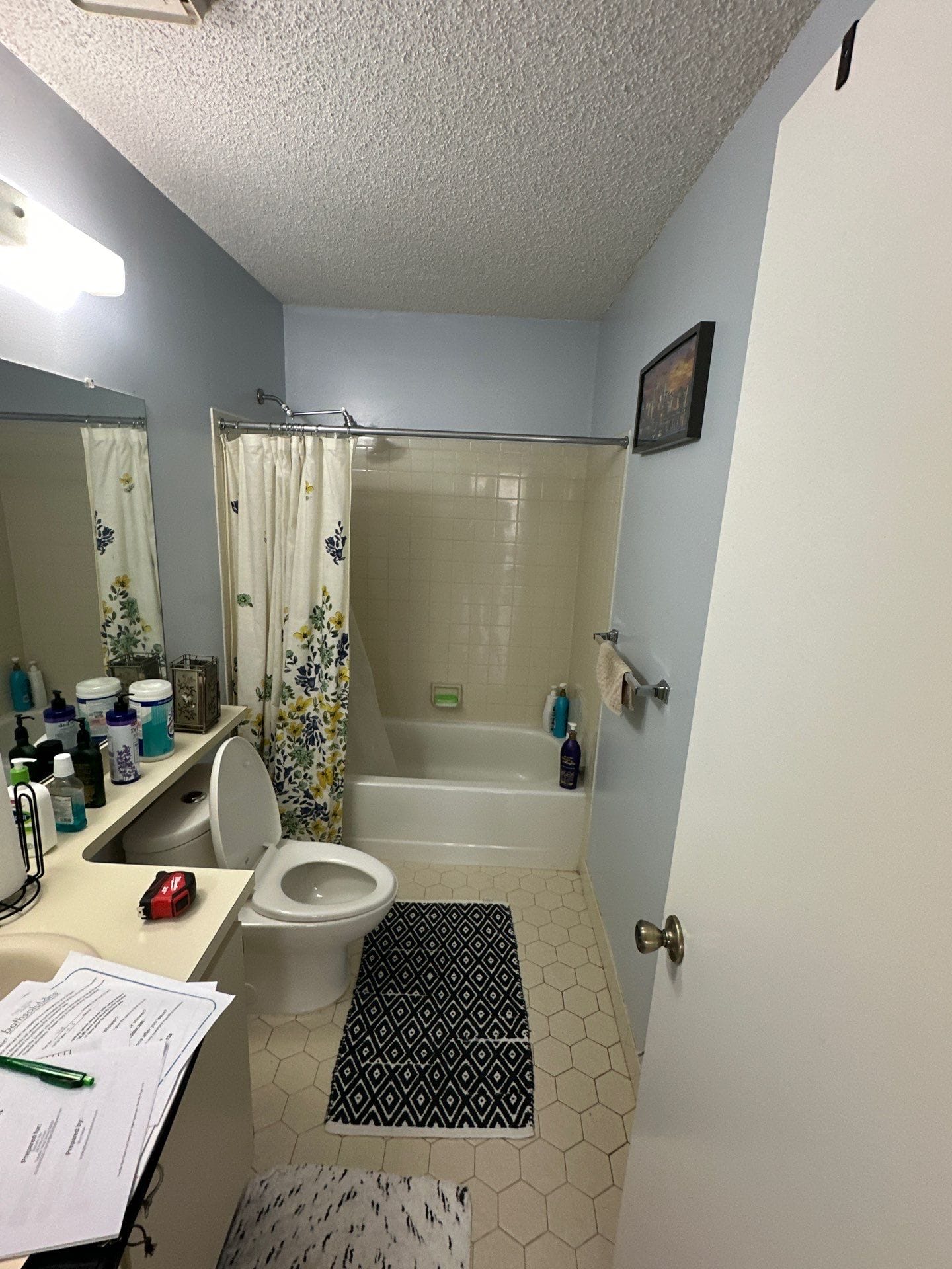 Before Bath Remodel