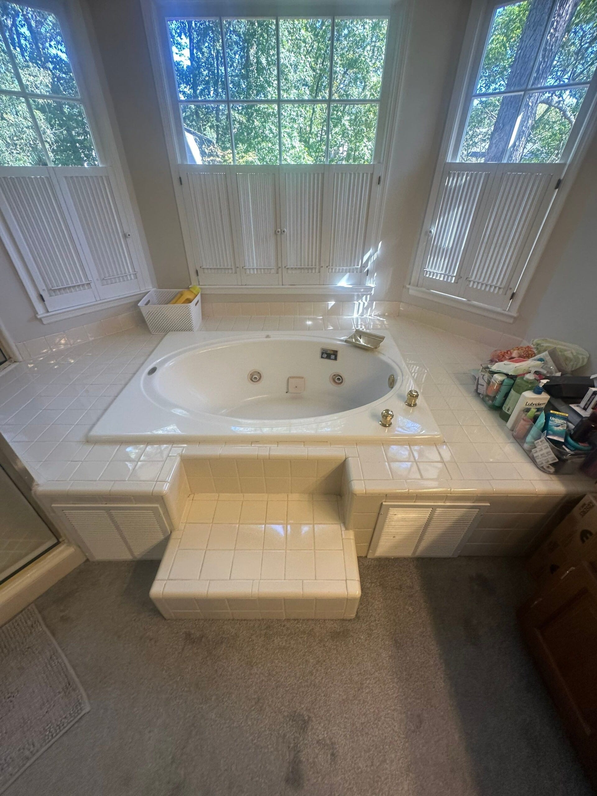 Before Bath Remodel