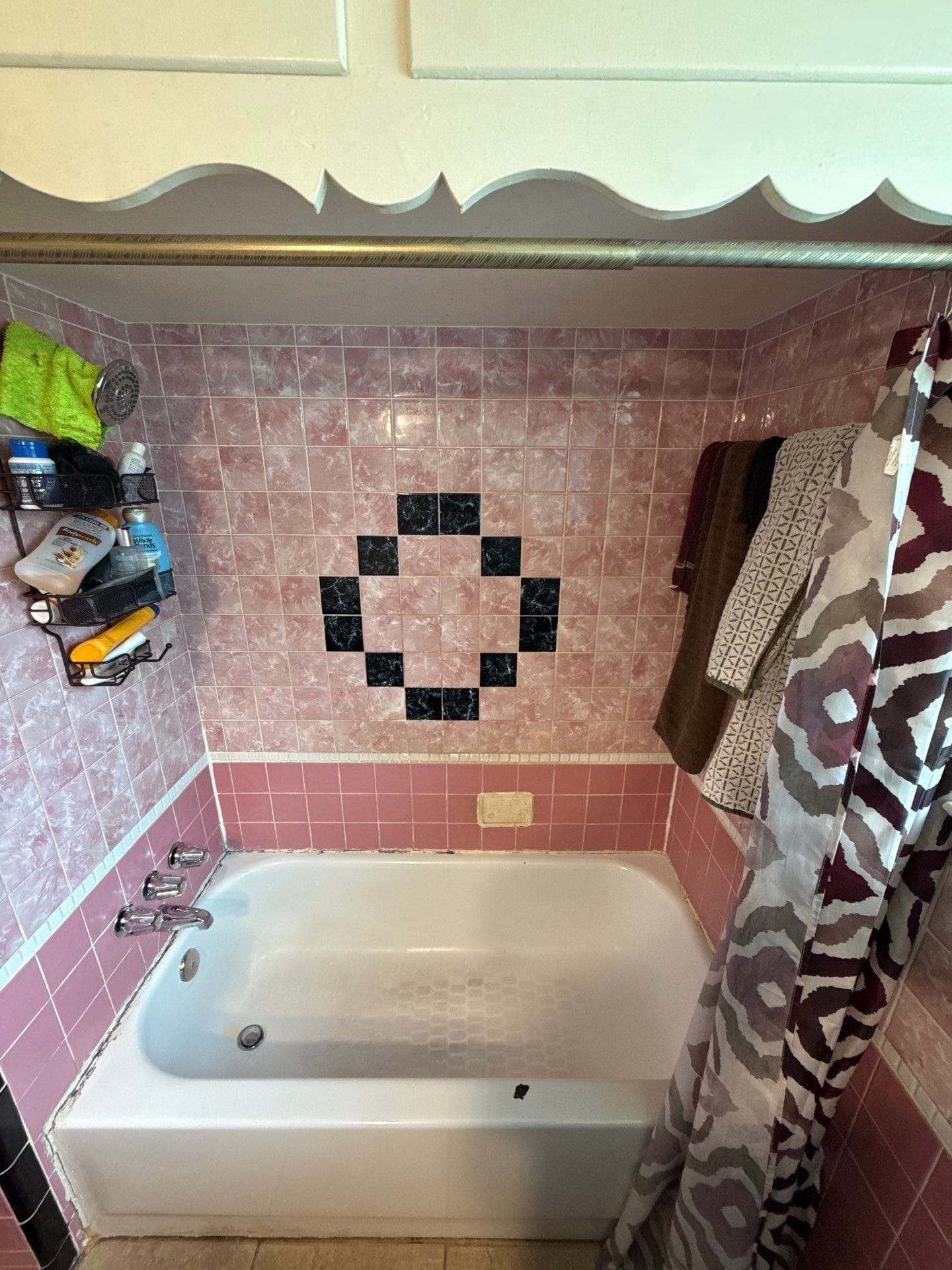 Before Bath Remodel