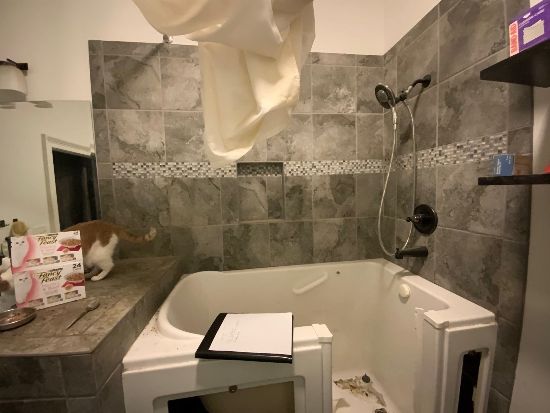 Before Bath Remodel