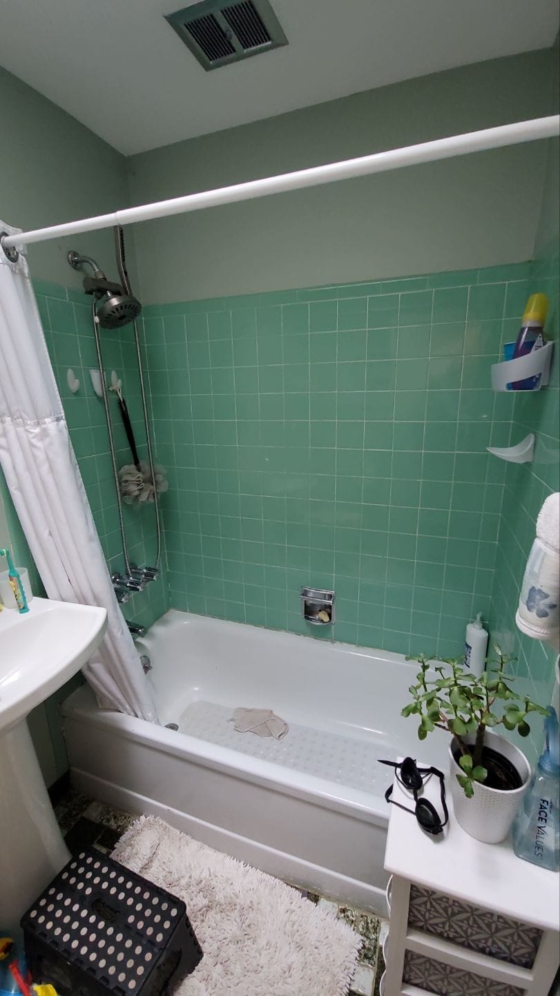 Before Bath Remodel