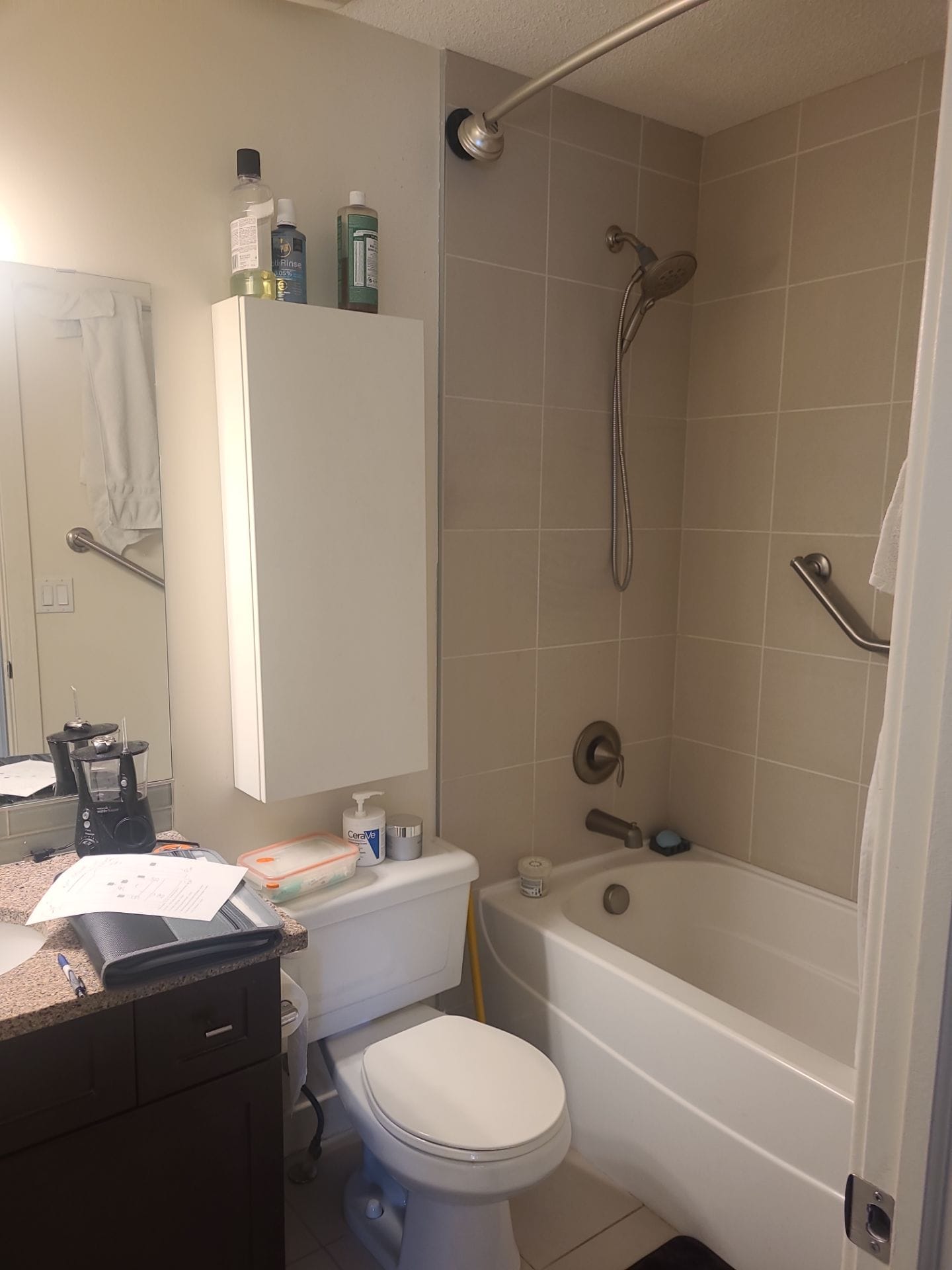 Before Bath Remodel
