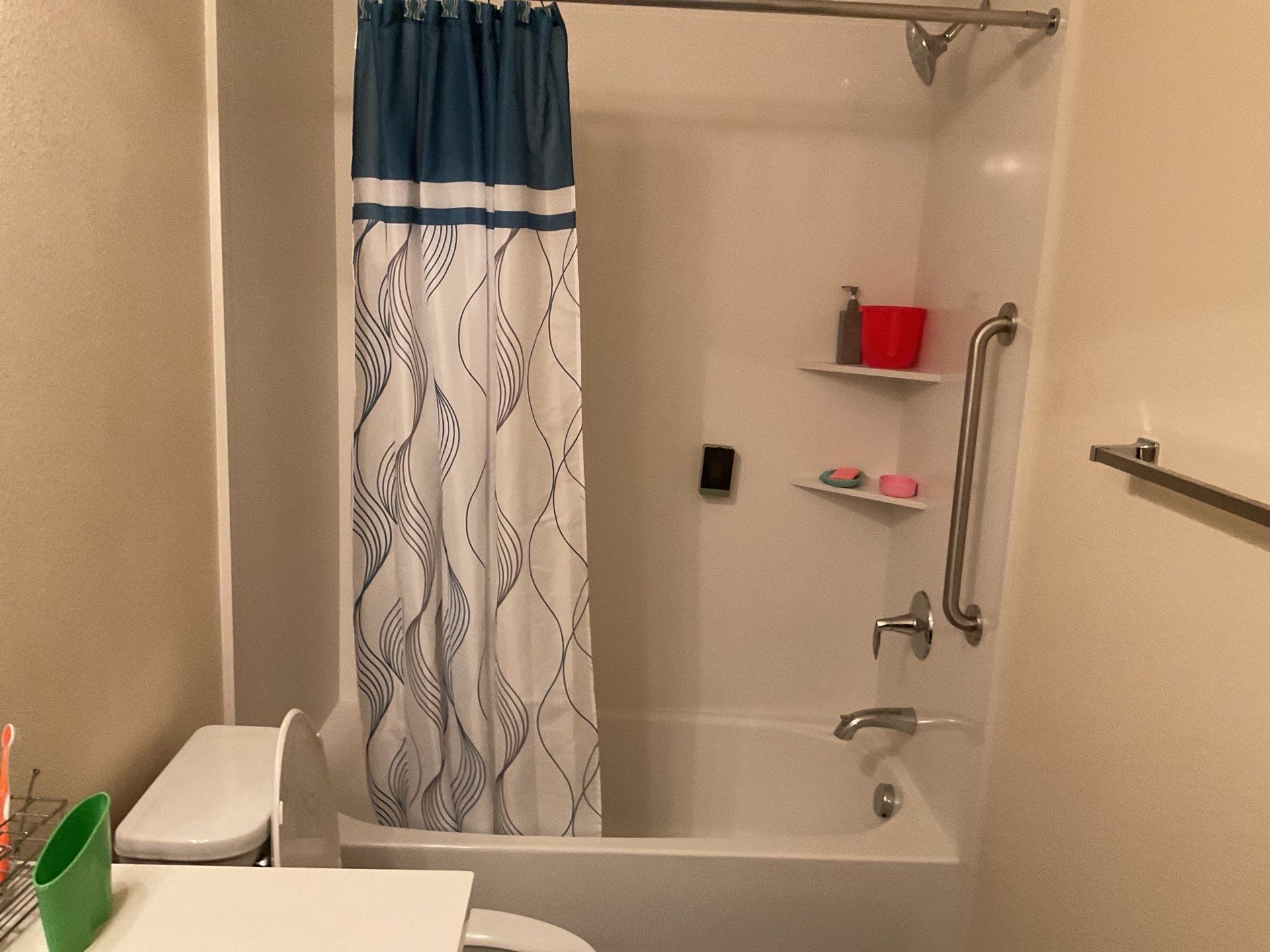Before Bath Remodel