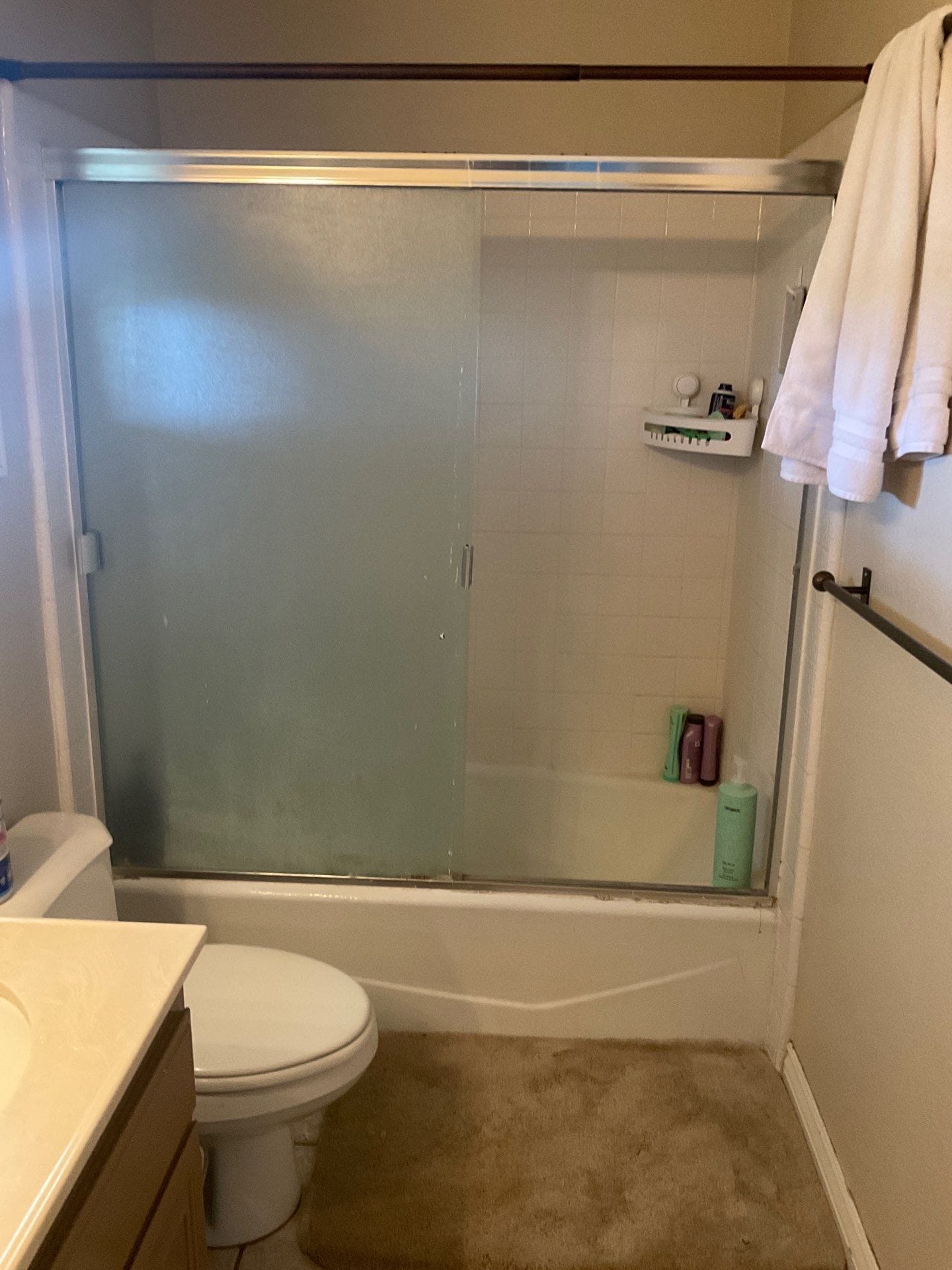 Before Bath Remodel