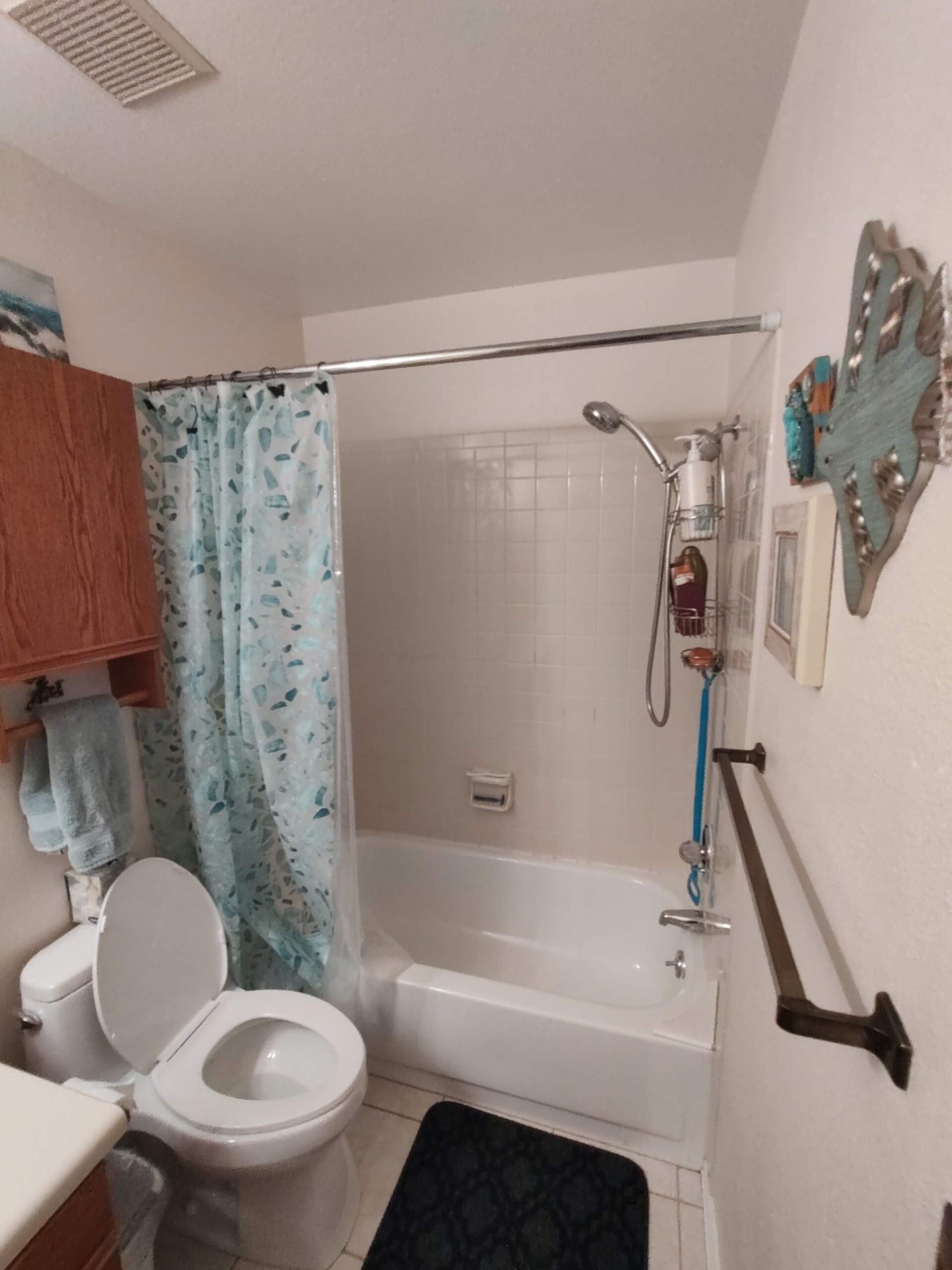 Before Bath Remodel