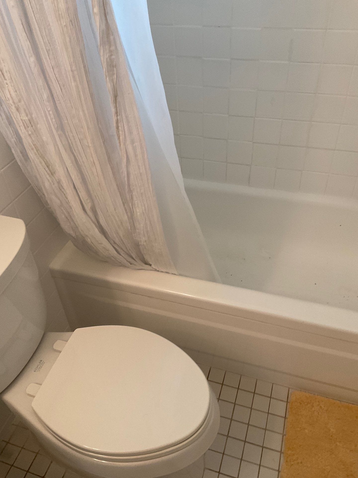 Before Bath Remodel