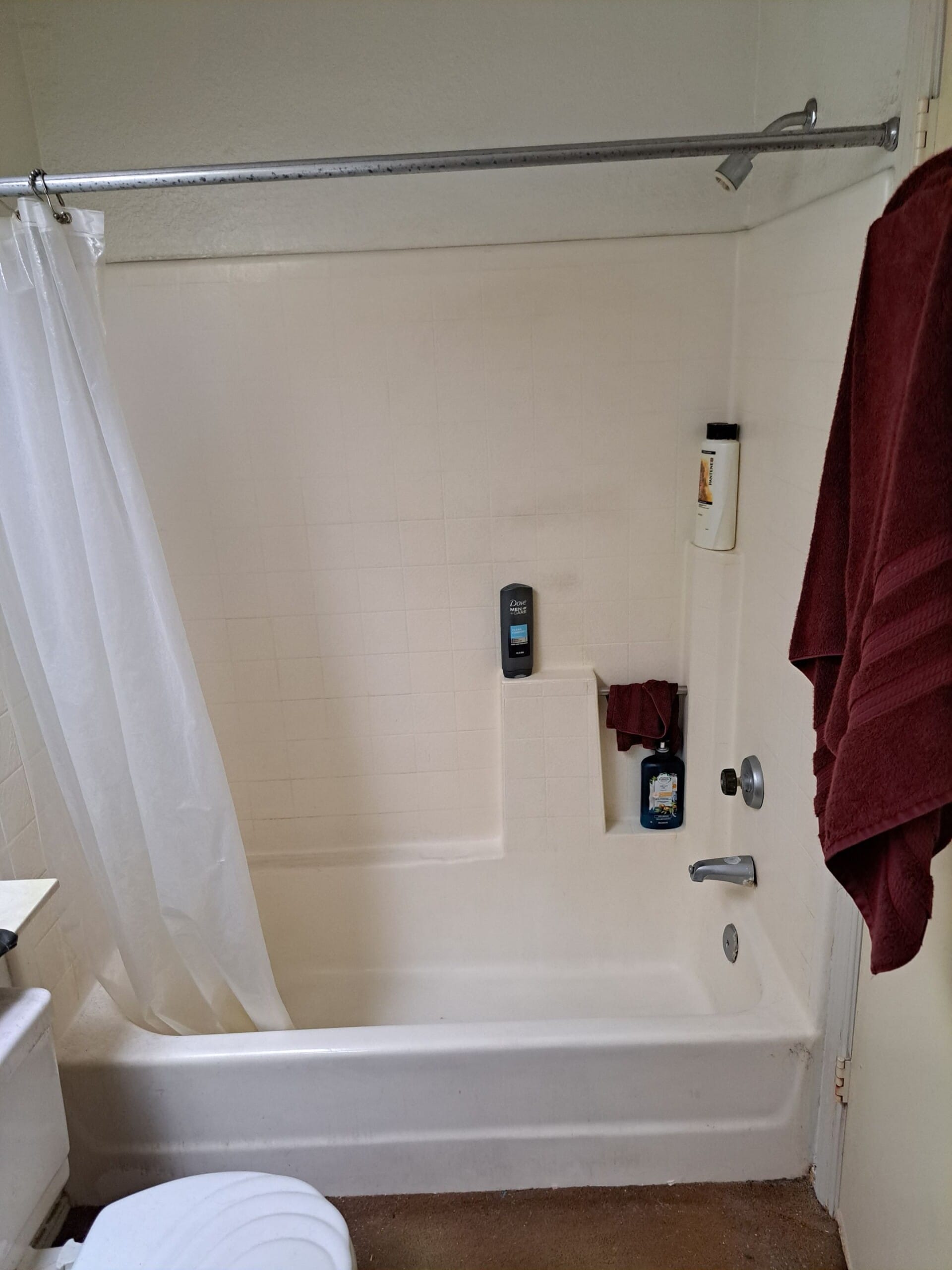 Before Bath Remodel
