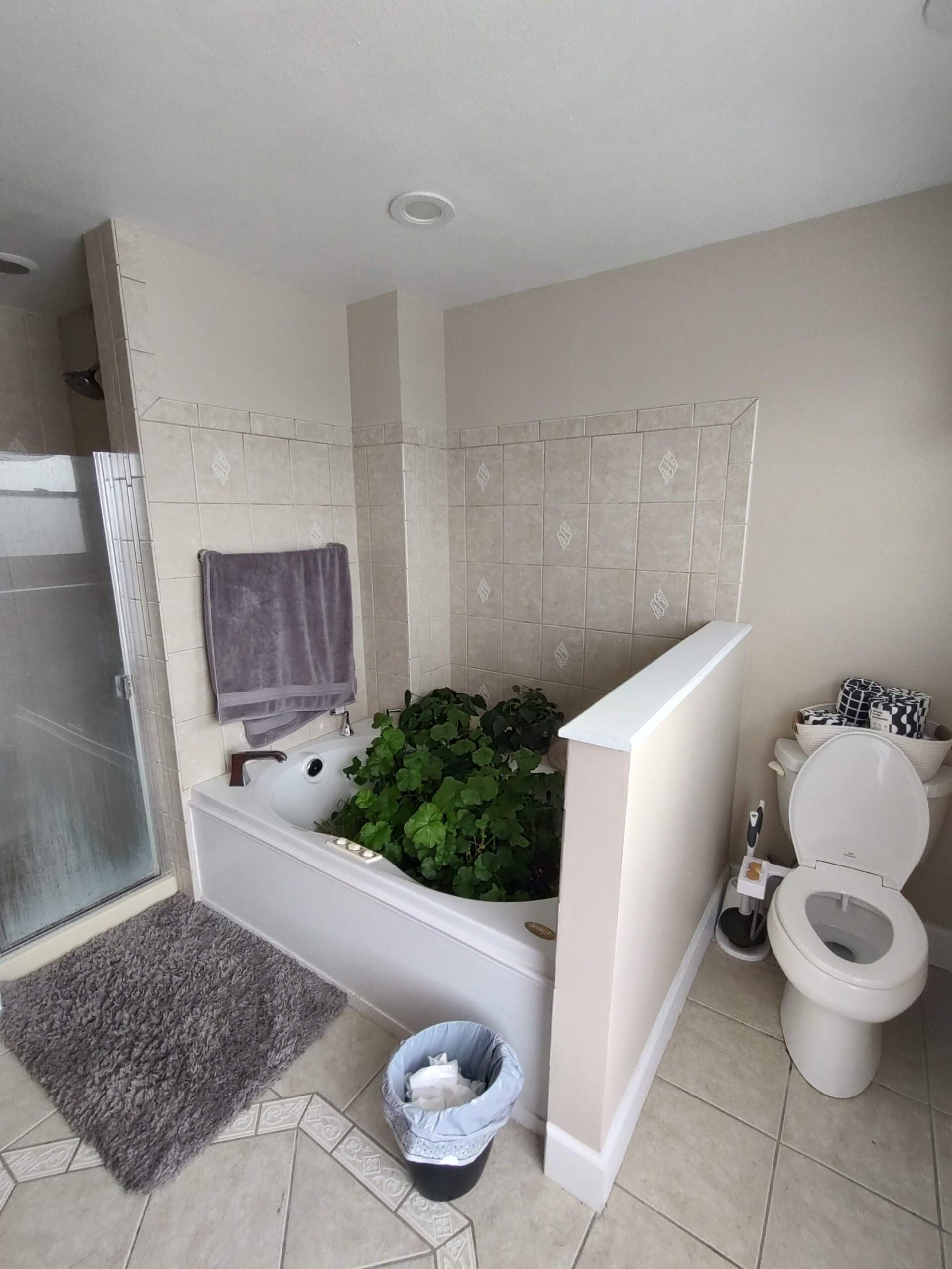 Before Bath Remodel