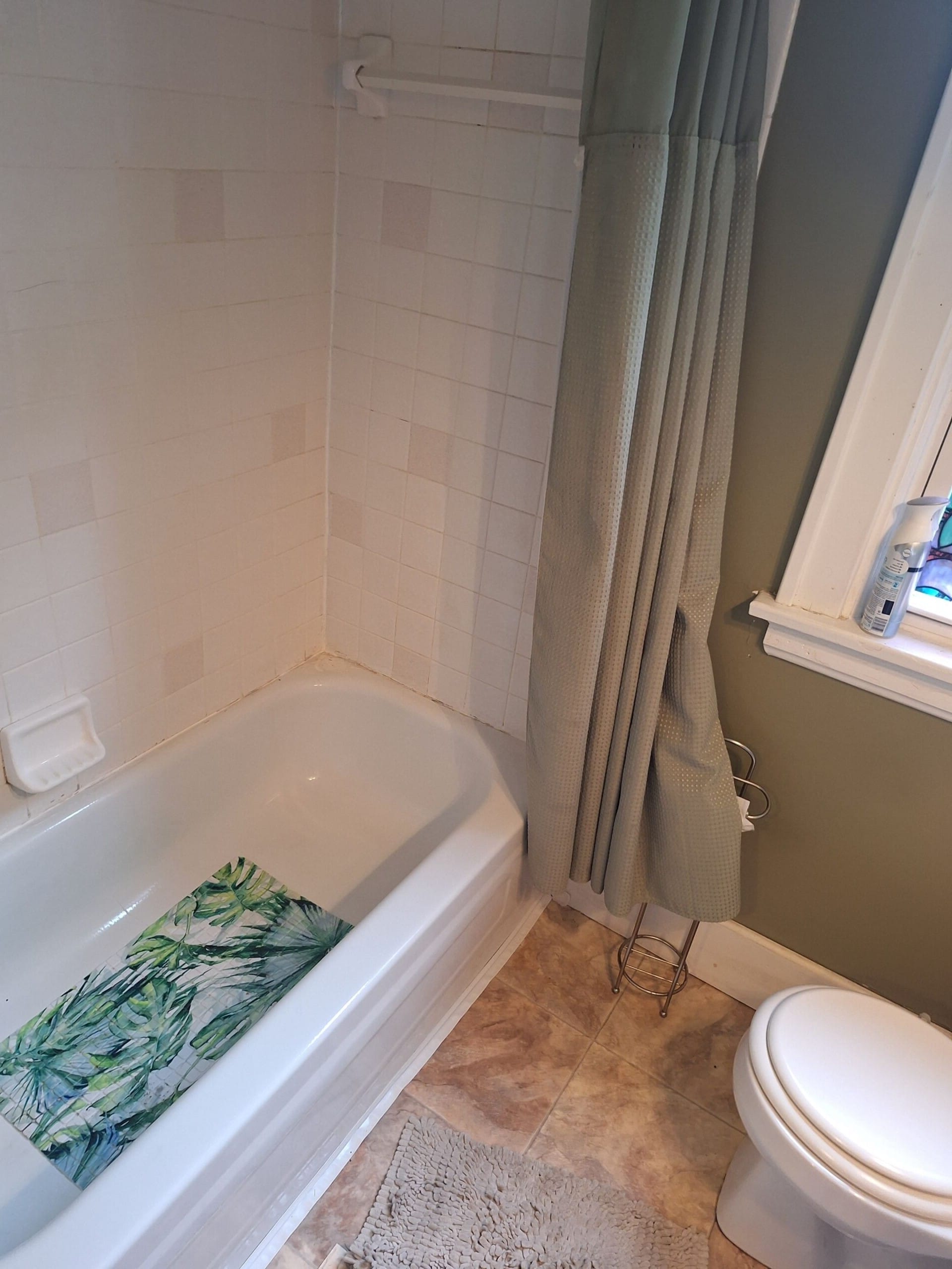 Before Bath Remodel