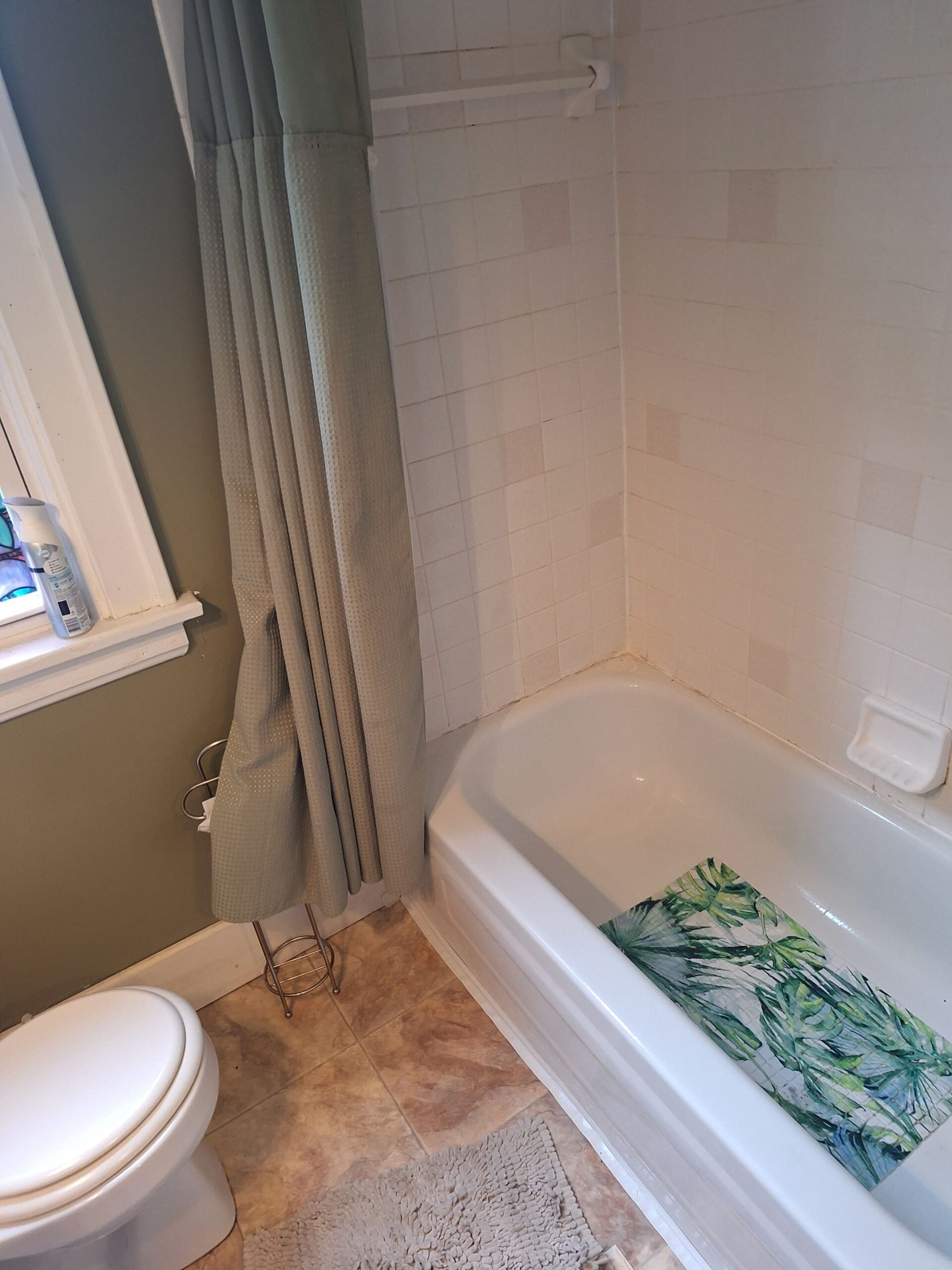 Before Bath Remodel
