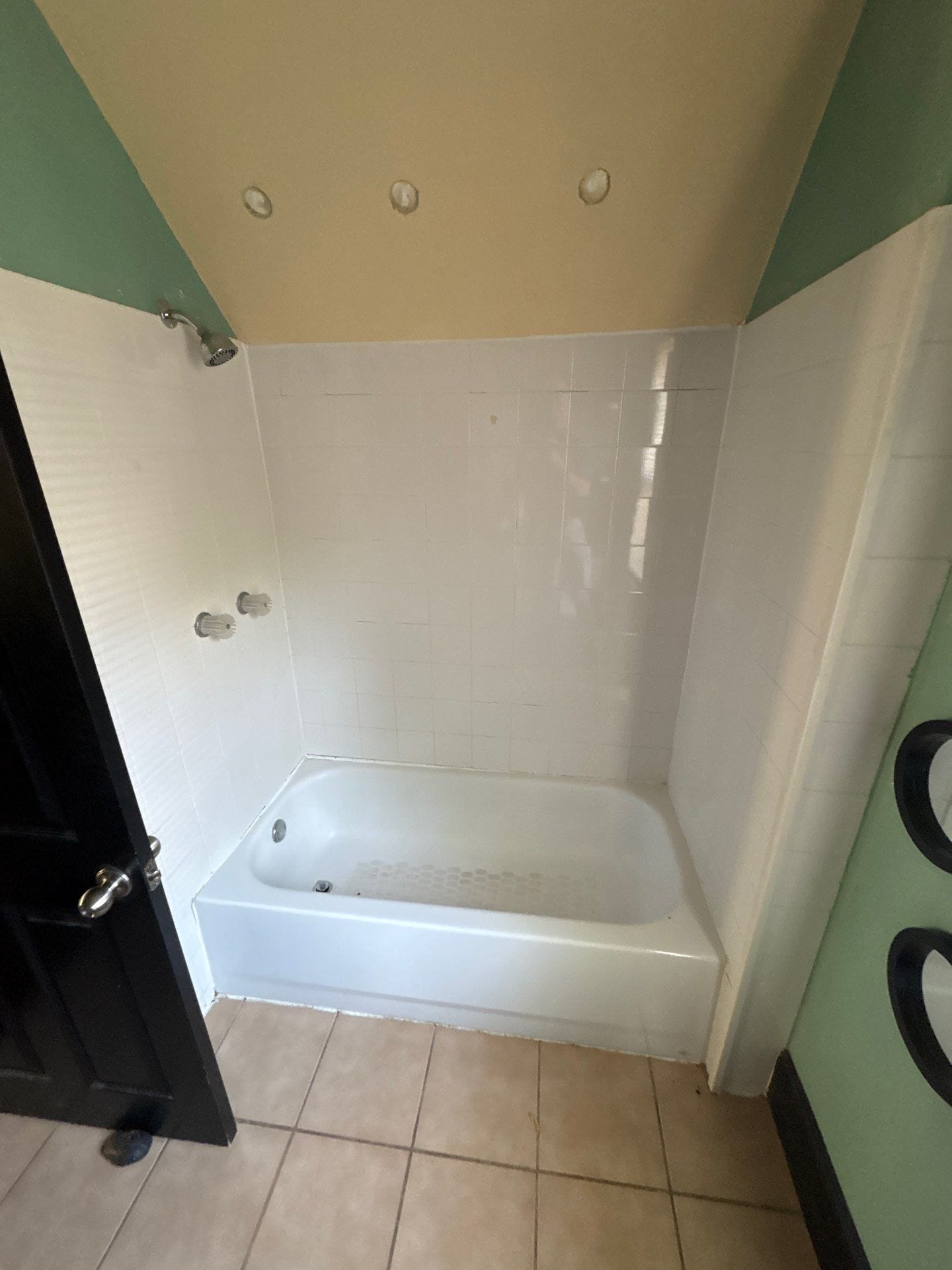 Before Bath Remodel
