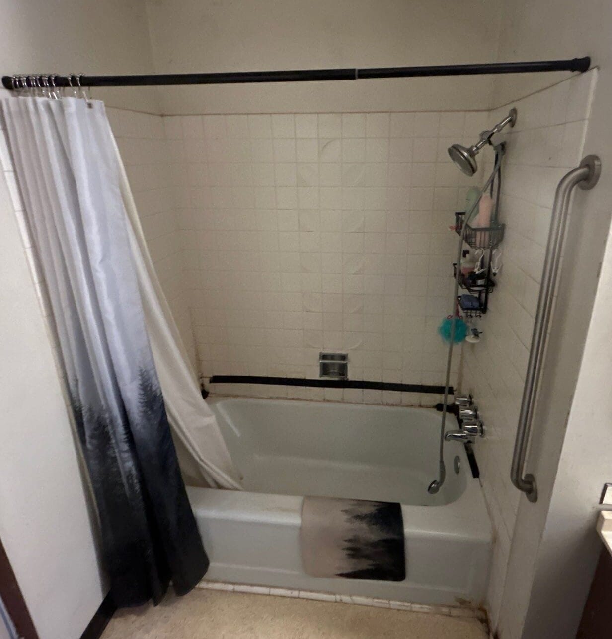 Before Bath Remodel