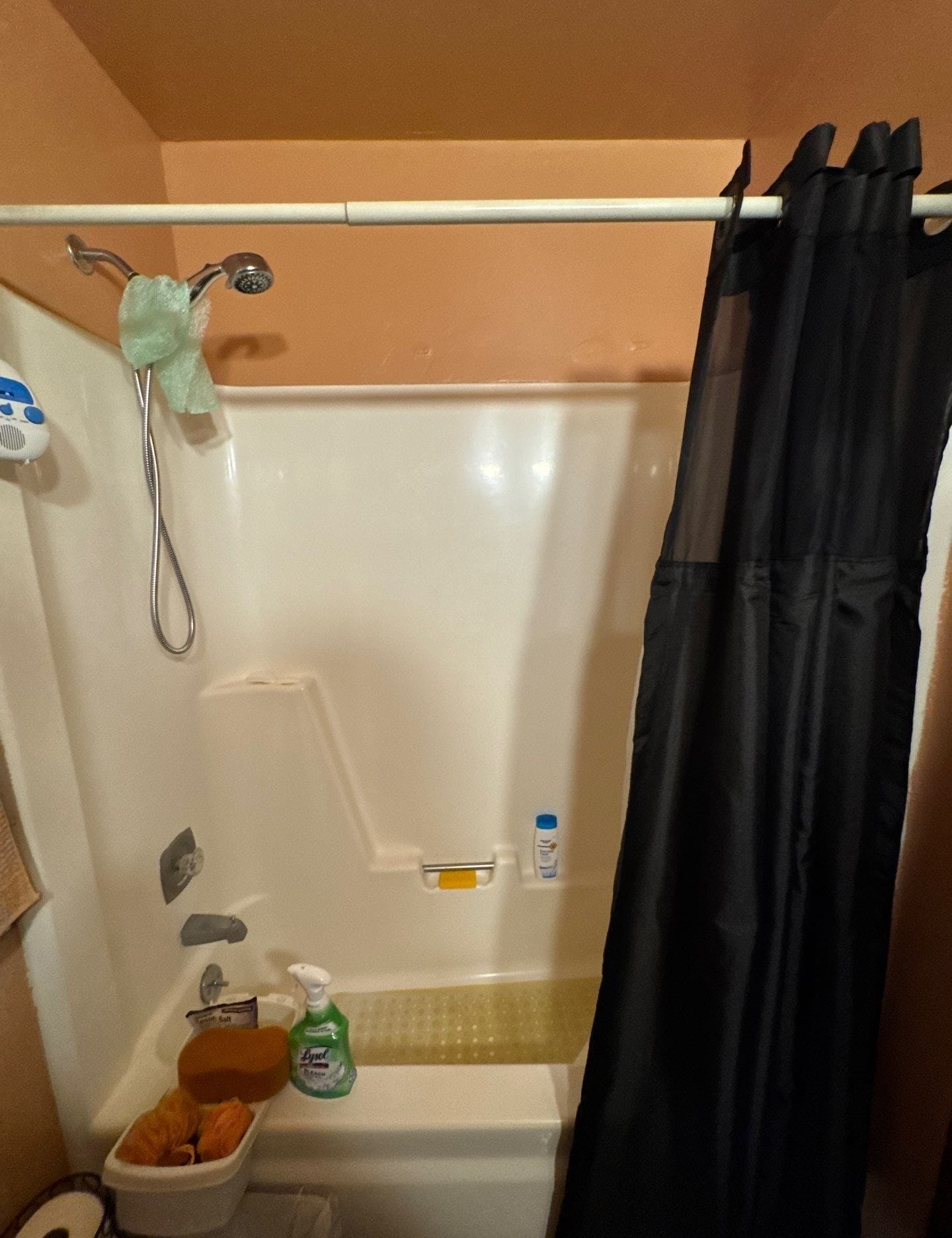 Before Bath Remodel