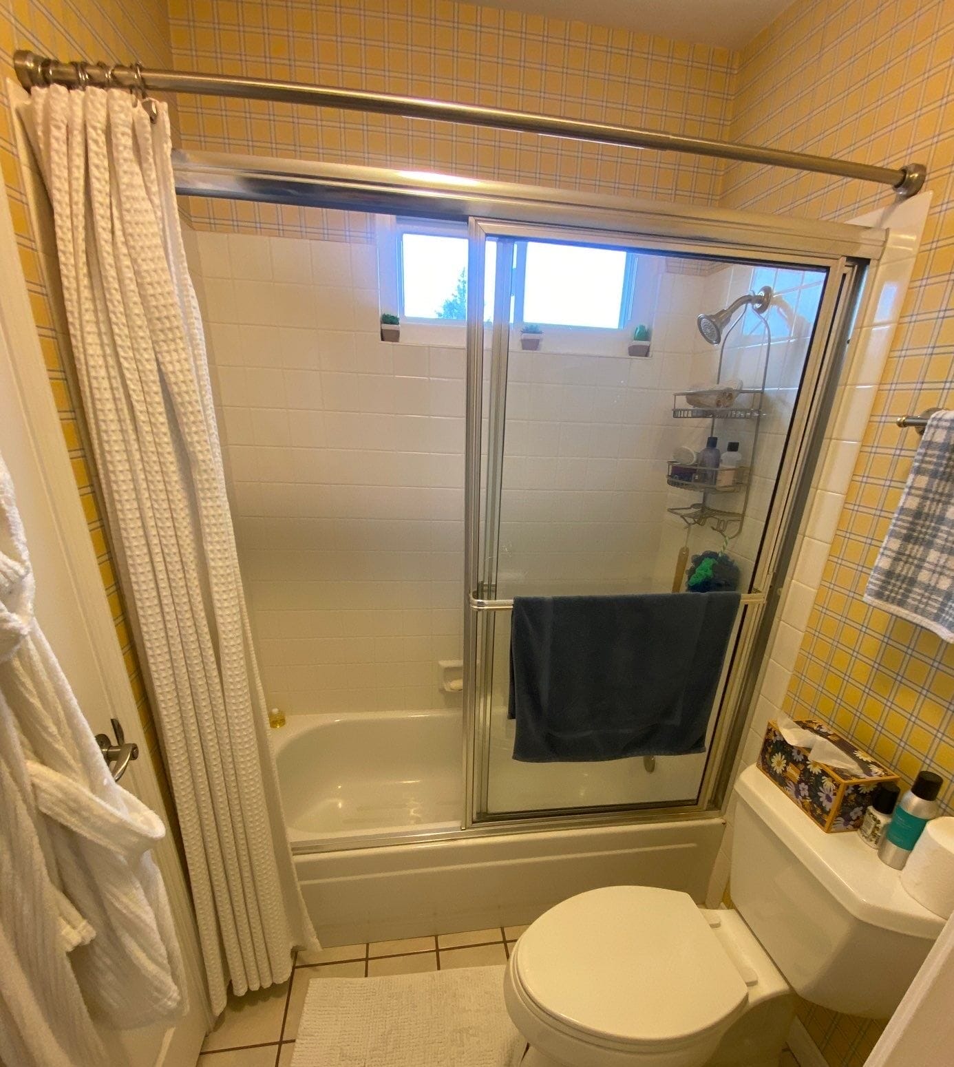Before Bath Remodel