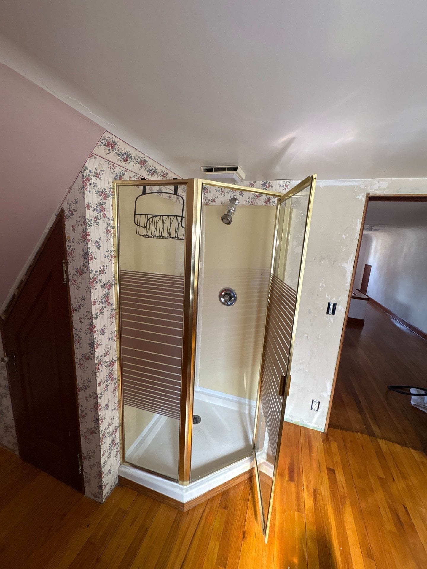Before Bath Remodel
