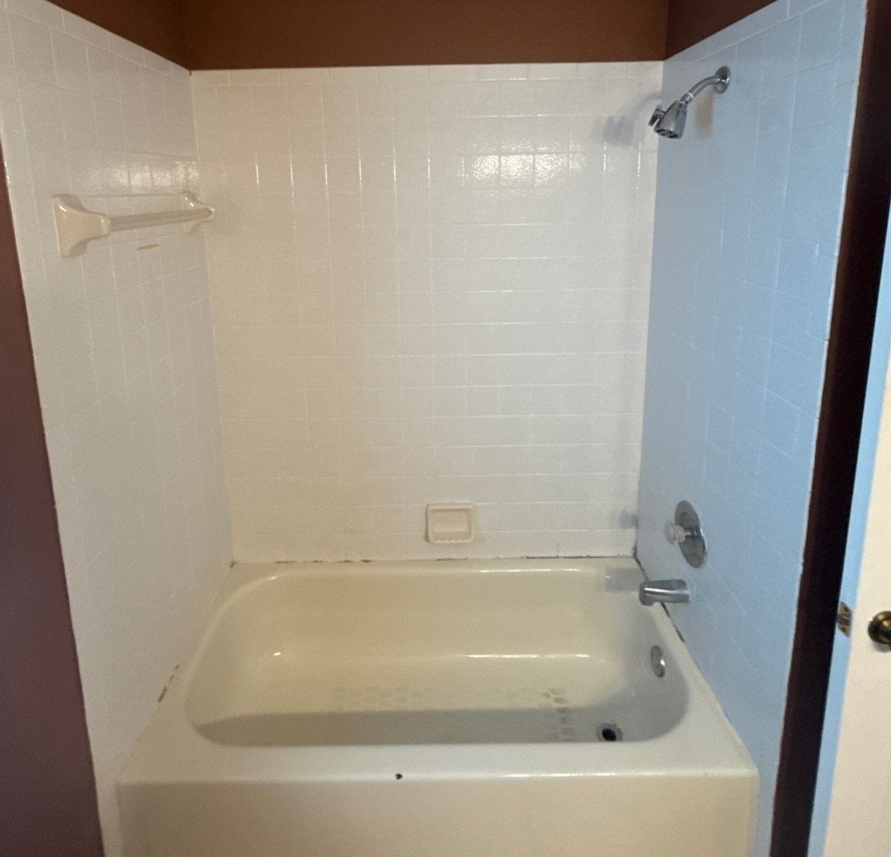 Before Bath Remodel